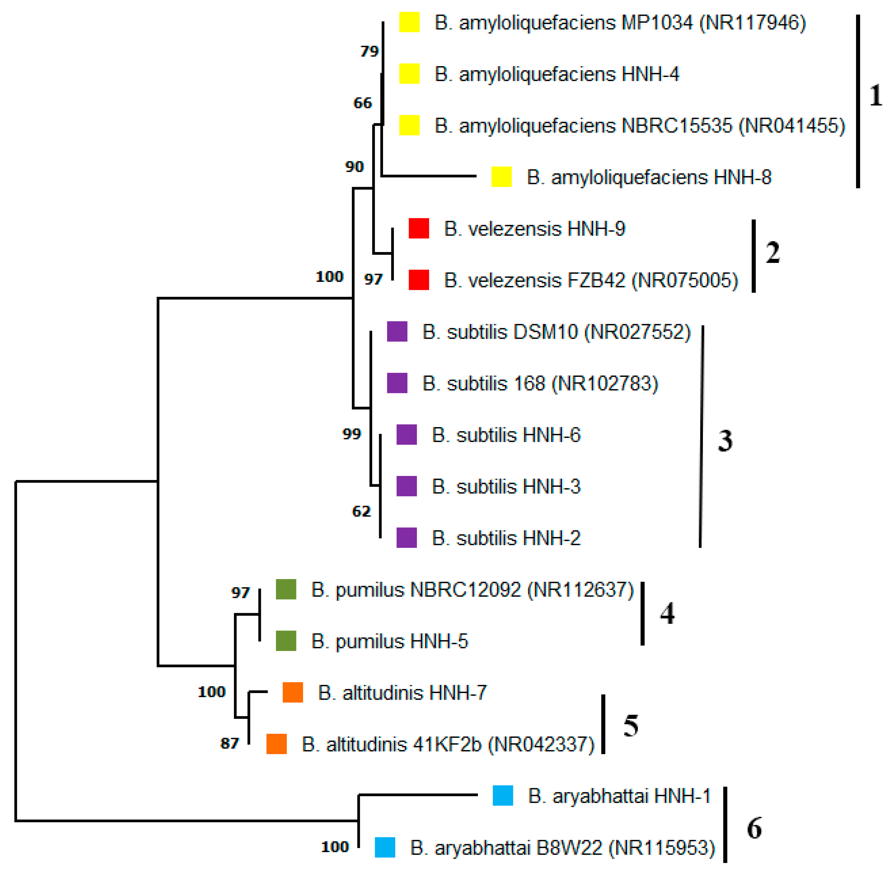 Plants 09 01438 g001 Plants 09 01438 g001