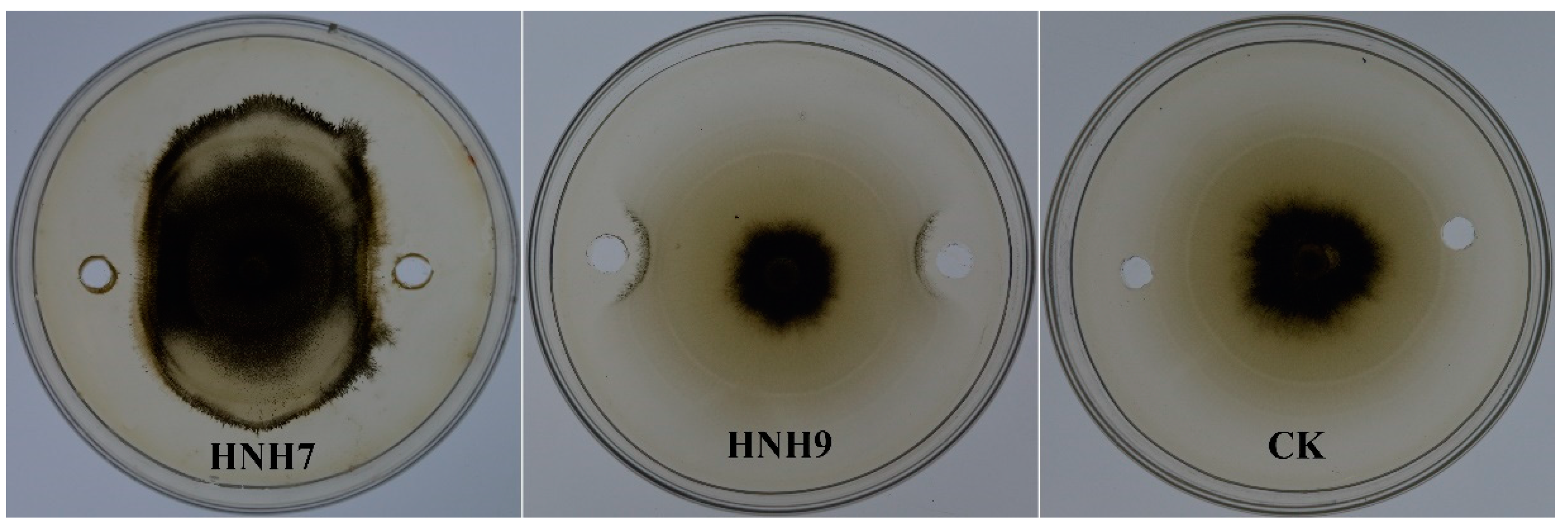 Plants 09 01438 g003 Plants 09 01438 g003