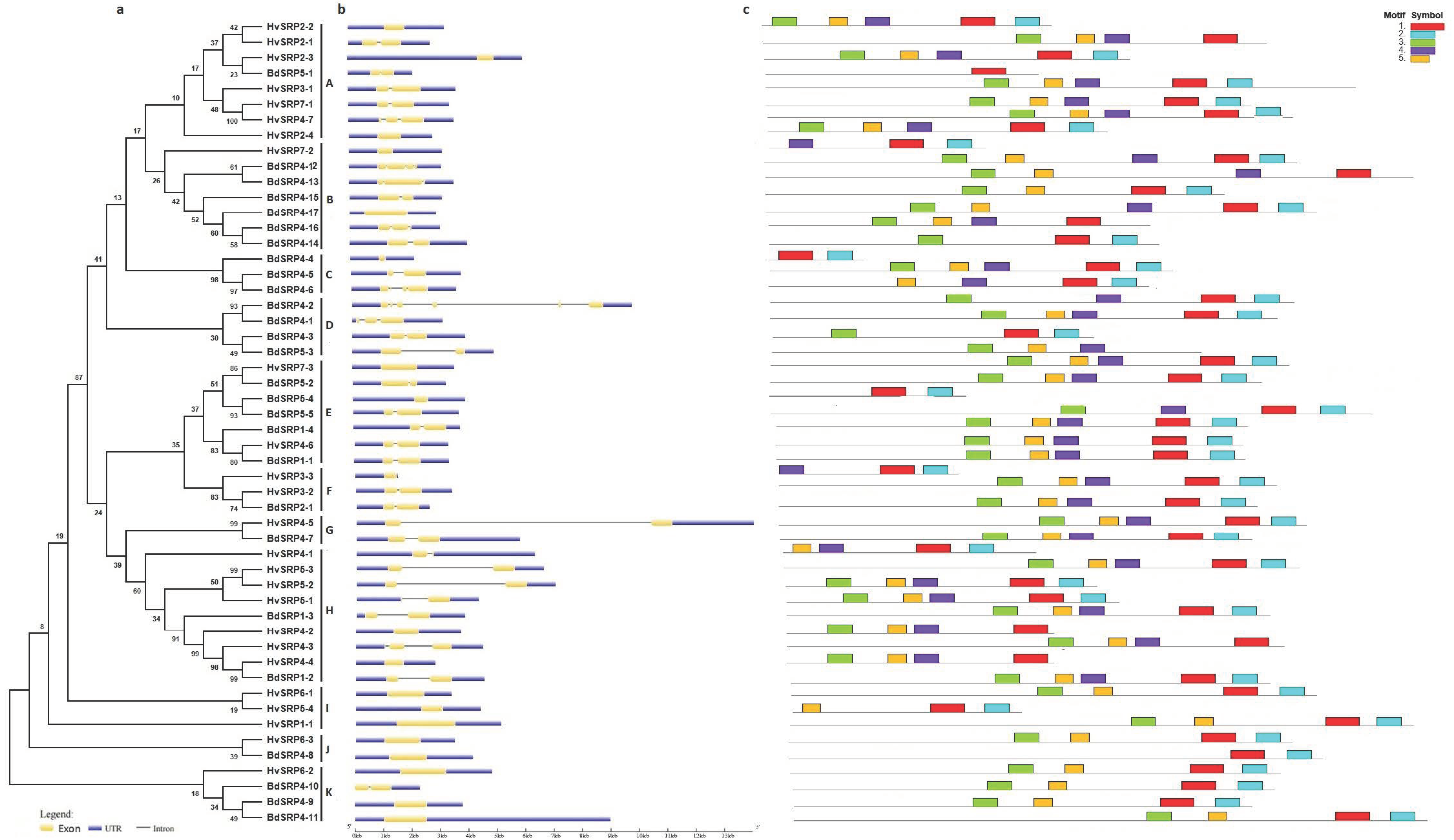 Plants 09 01439 g002 Plants 09 01439 g002