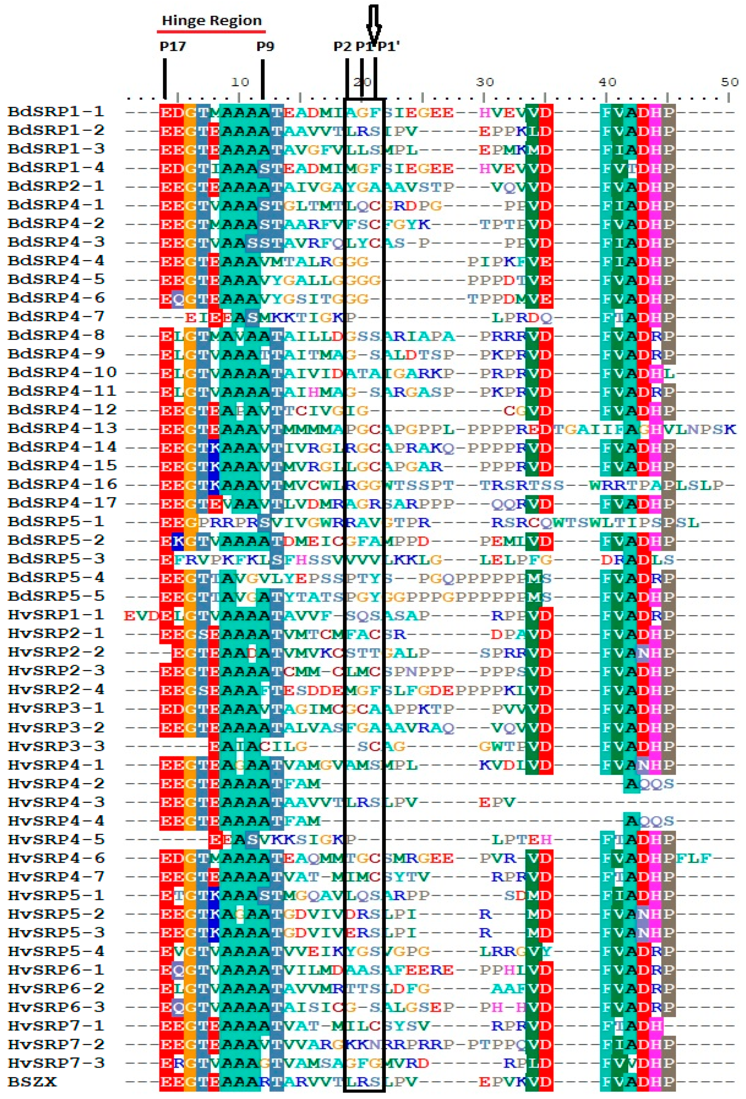 Plants | Free Full-Text | Genome Wide Identification and 