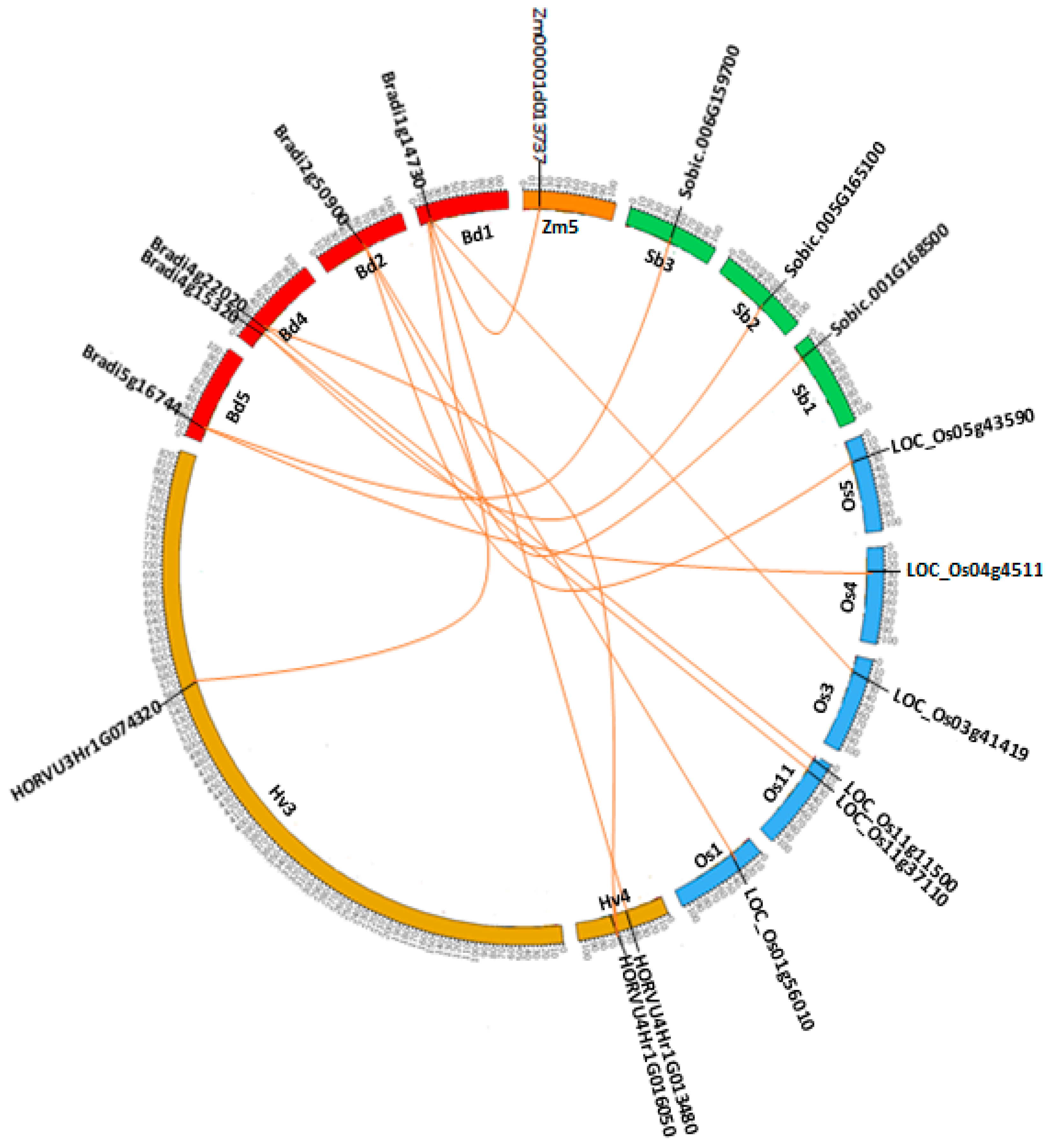 Plants 09 01439 g004 Plants 09 01439 g004