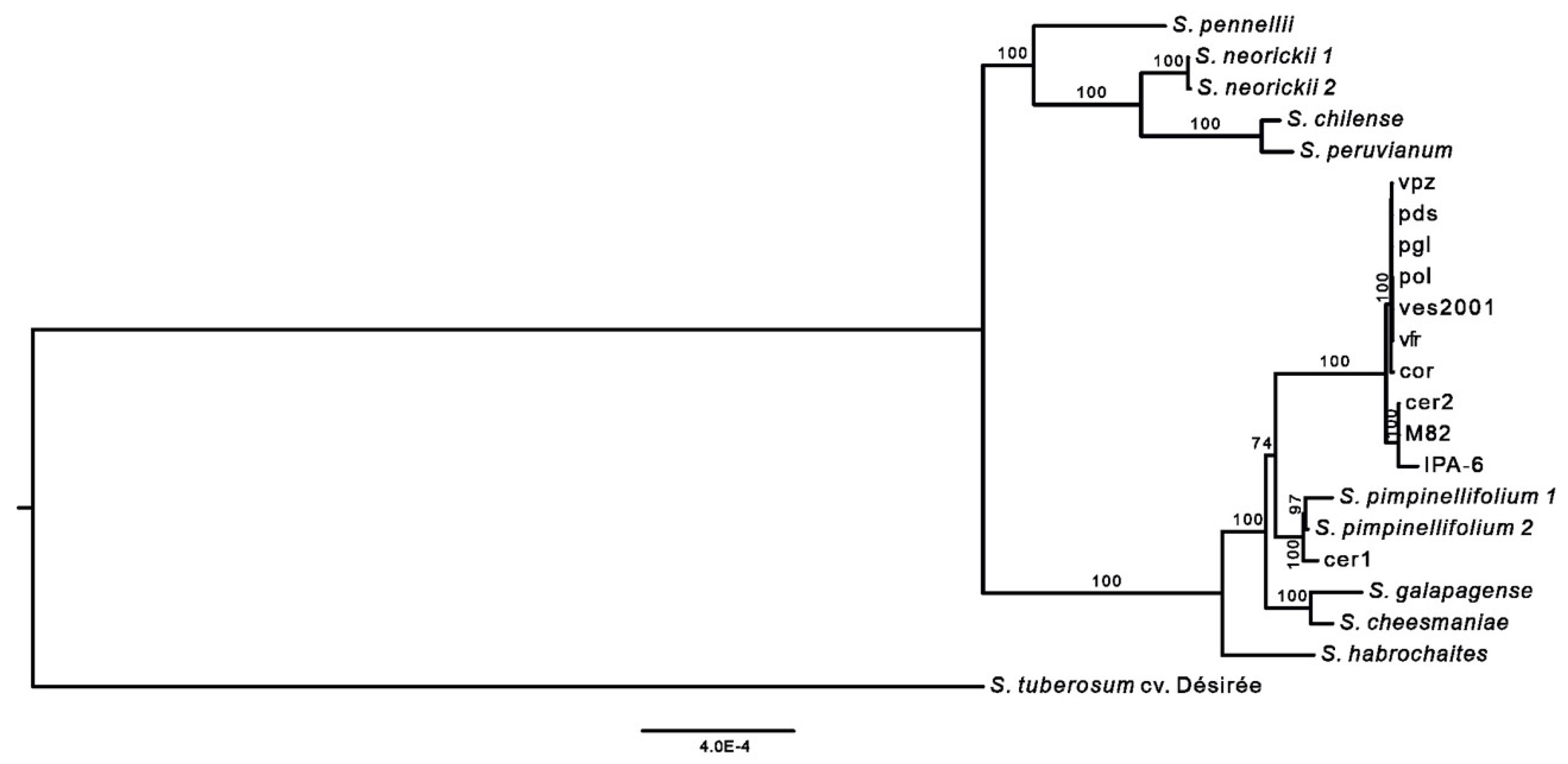Plants 09 01443 g005 Plants 09 01443 g005
