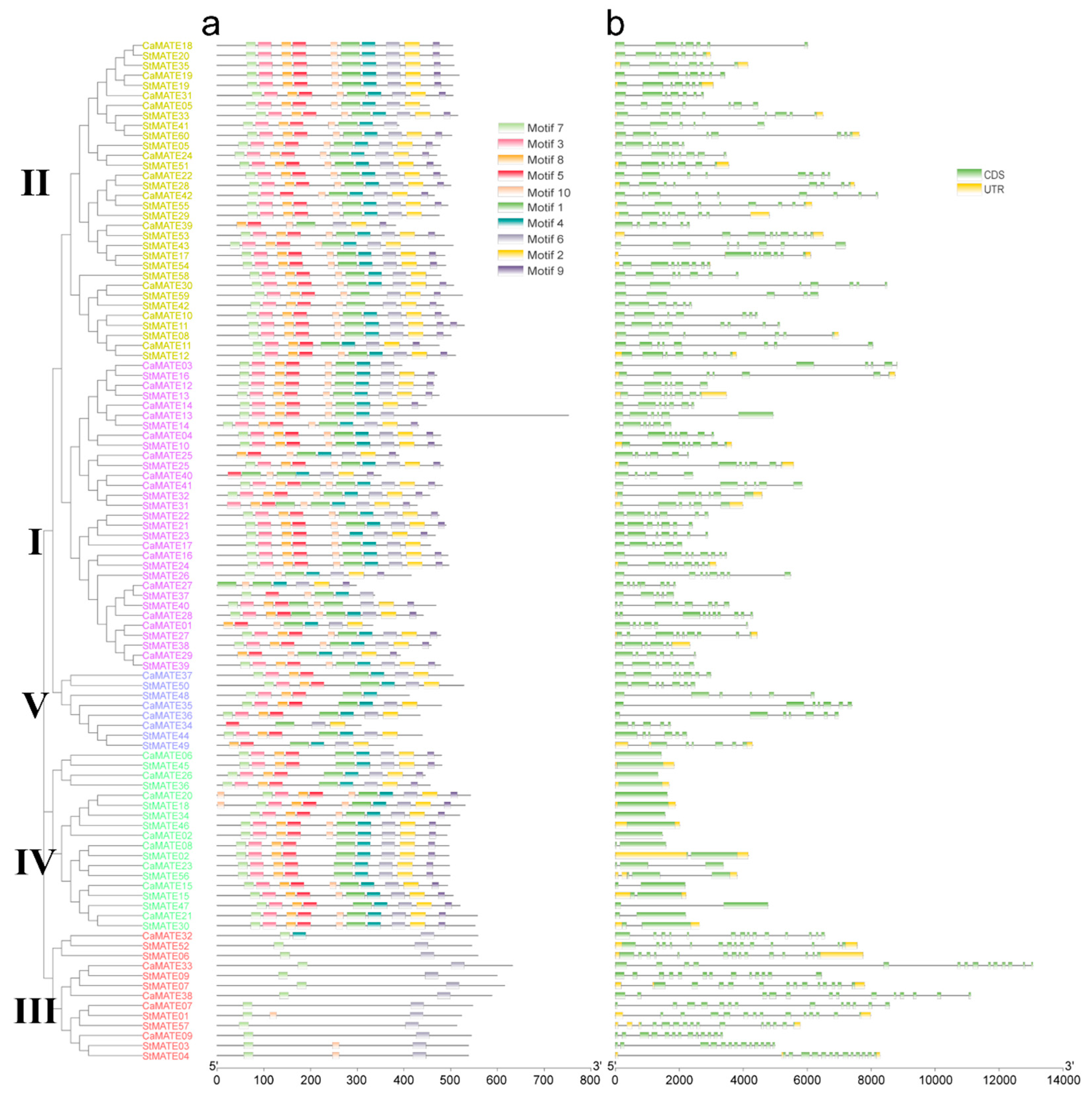 Plants 09 01448 g002