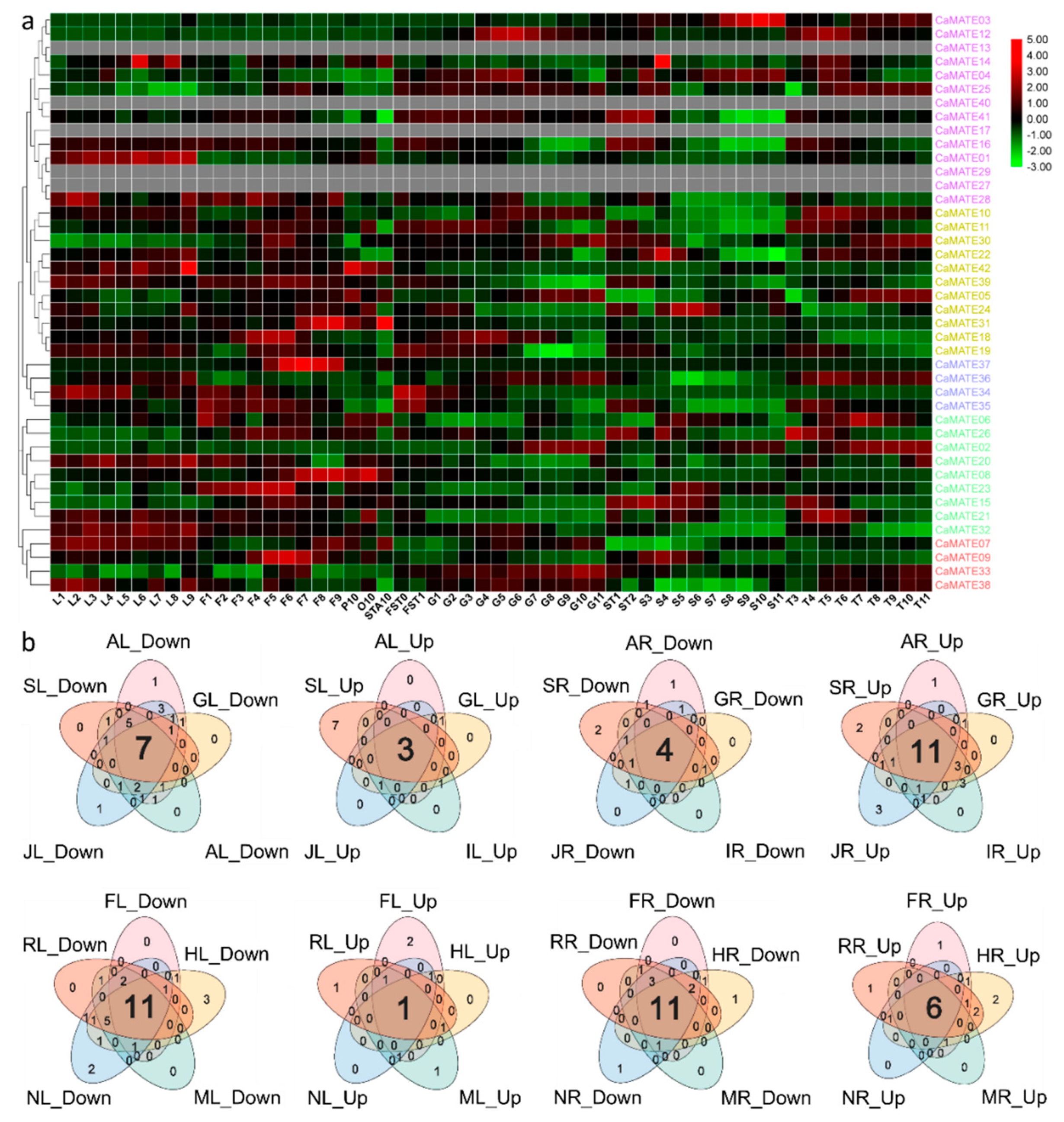 Plants 09 01448 g006