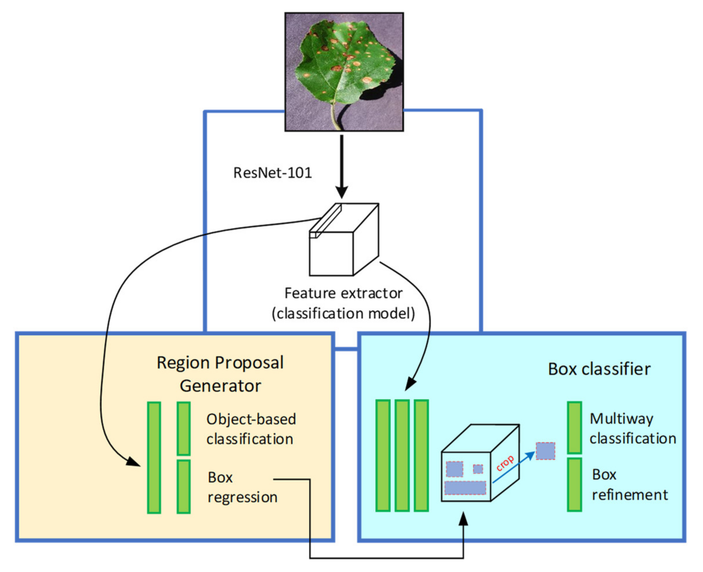 Plants 09 01451 g006