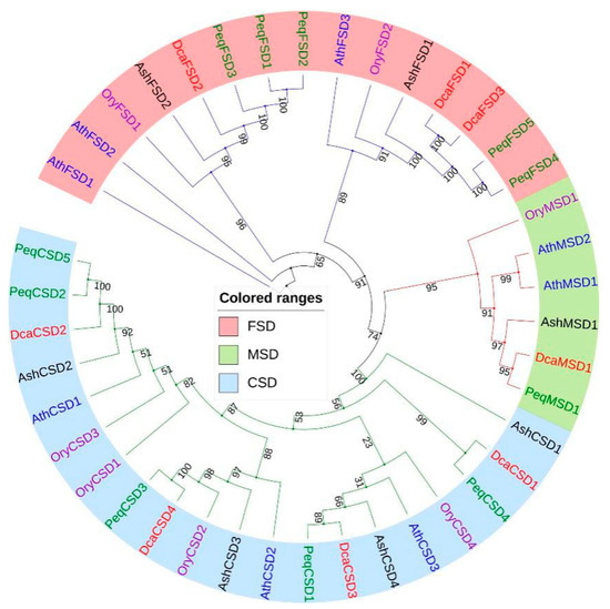 Insights into the Superoxide Dismutase Gene Family and Its Roles