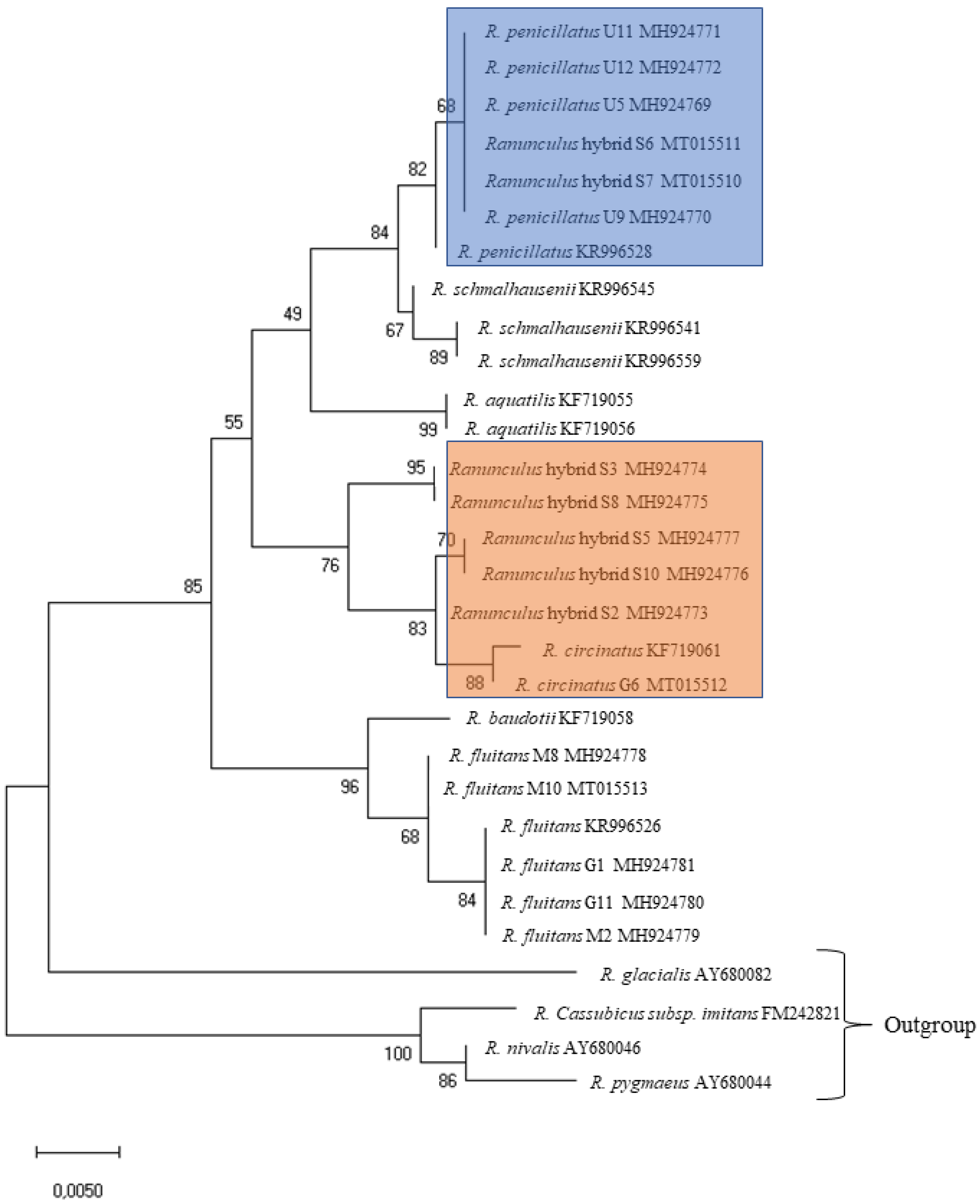Plants 09 01455 g001