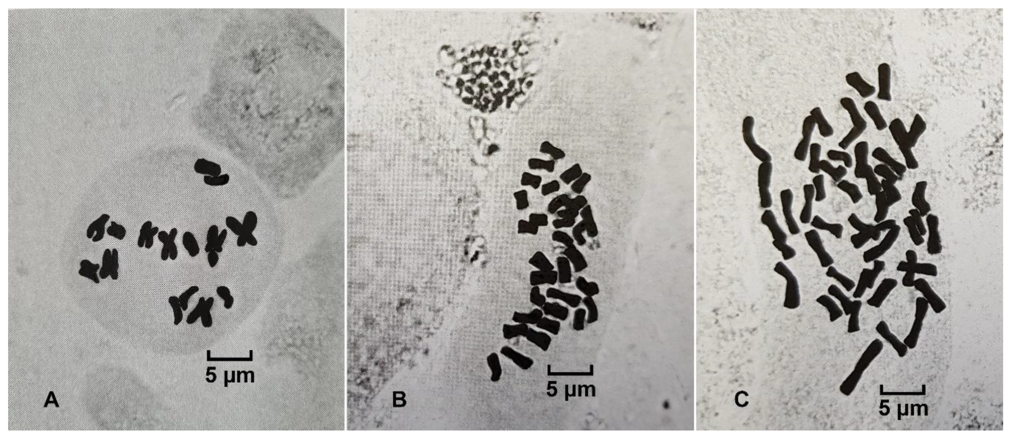 Plants 09 01455 g007