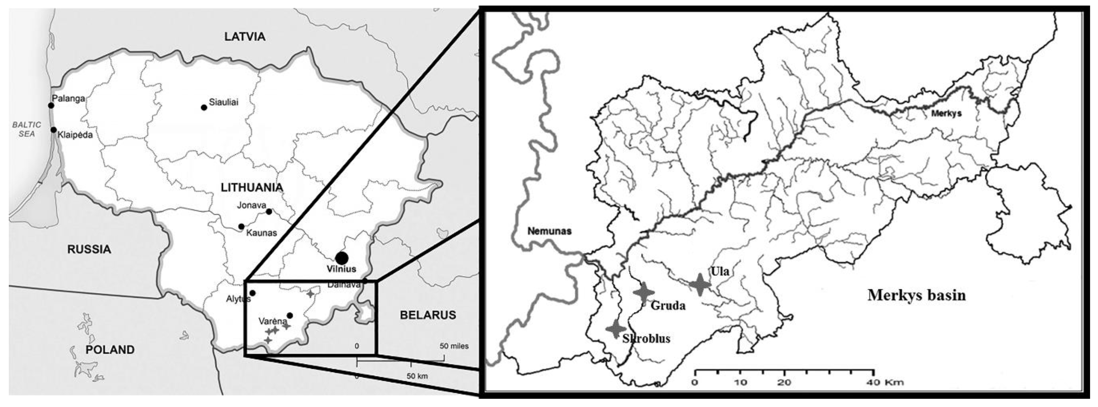 Plants 09 01455 g008