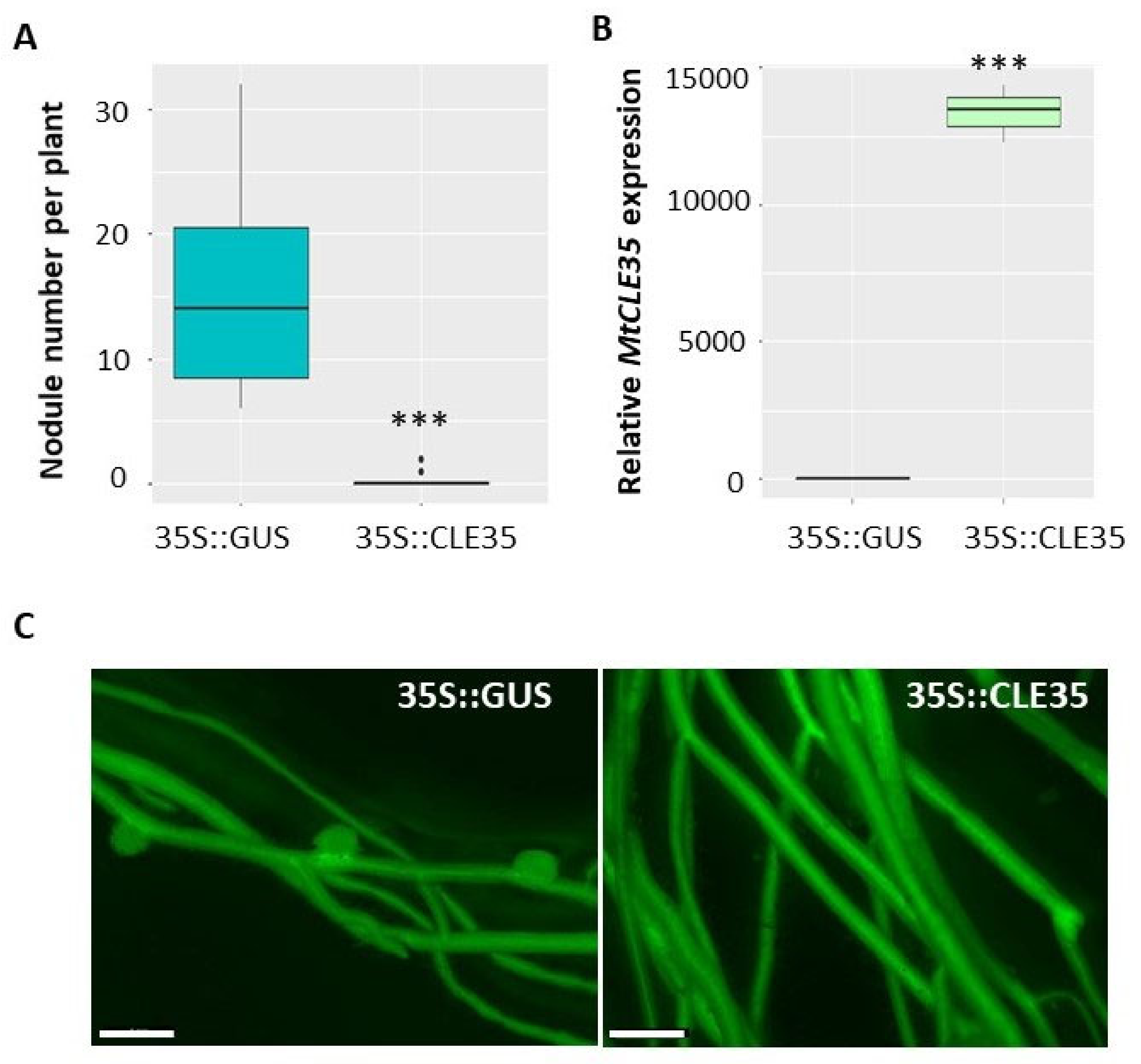 Plants 09 01456 g004 Plants 09 01456 g004