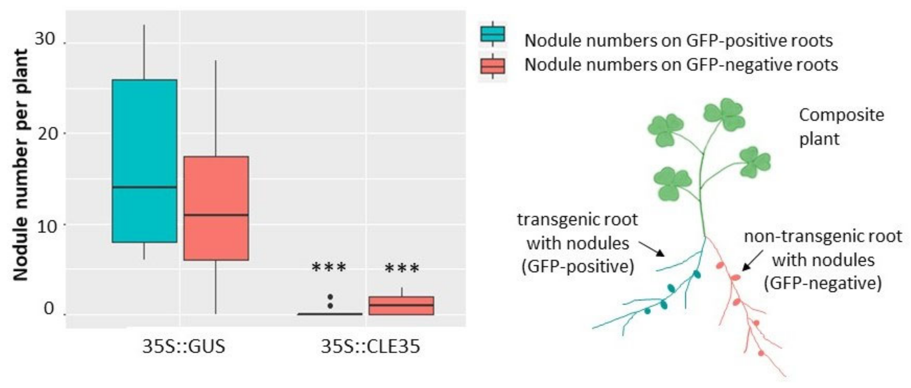 Plants 09 01456 g005 Plants 09 01456 g005