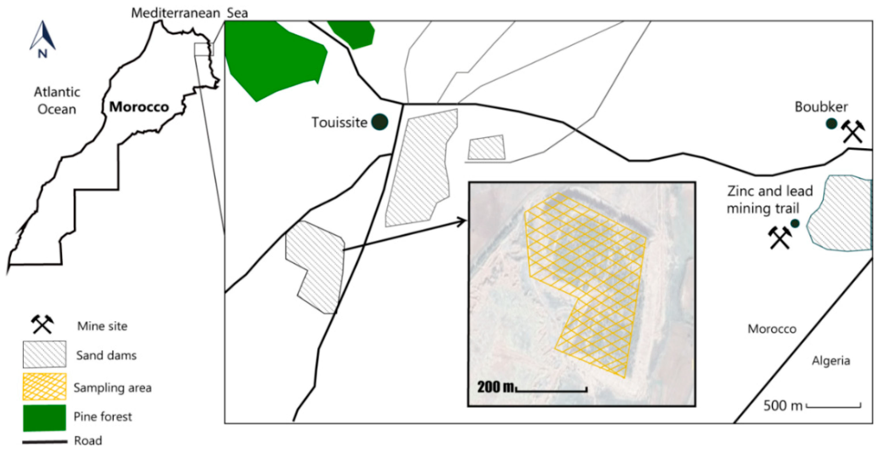 Plants 09 01458 g002