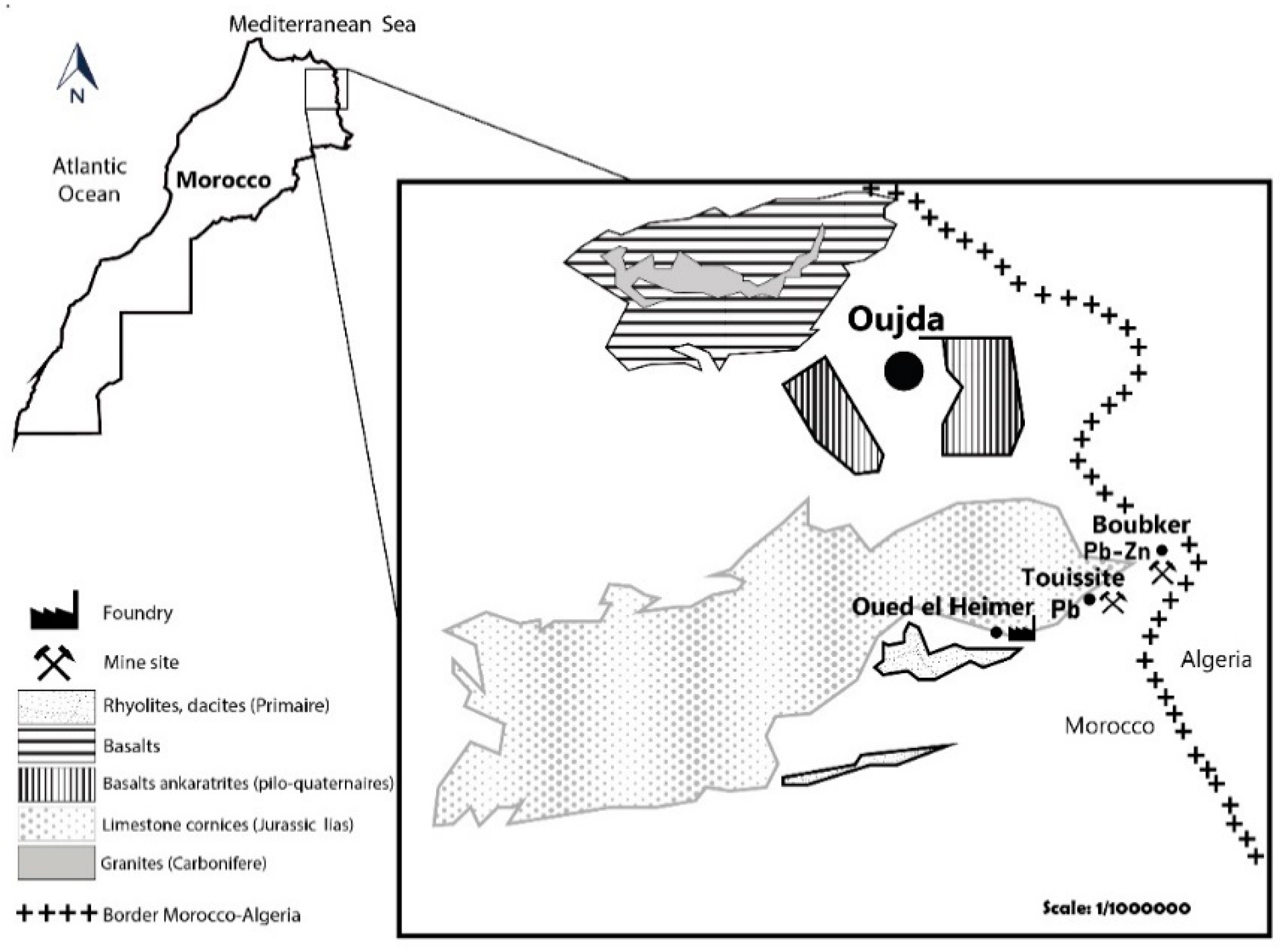 Plants 09 01458 g003
