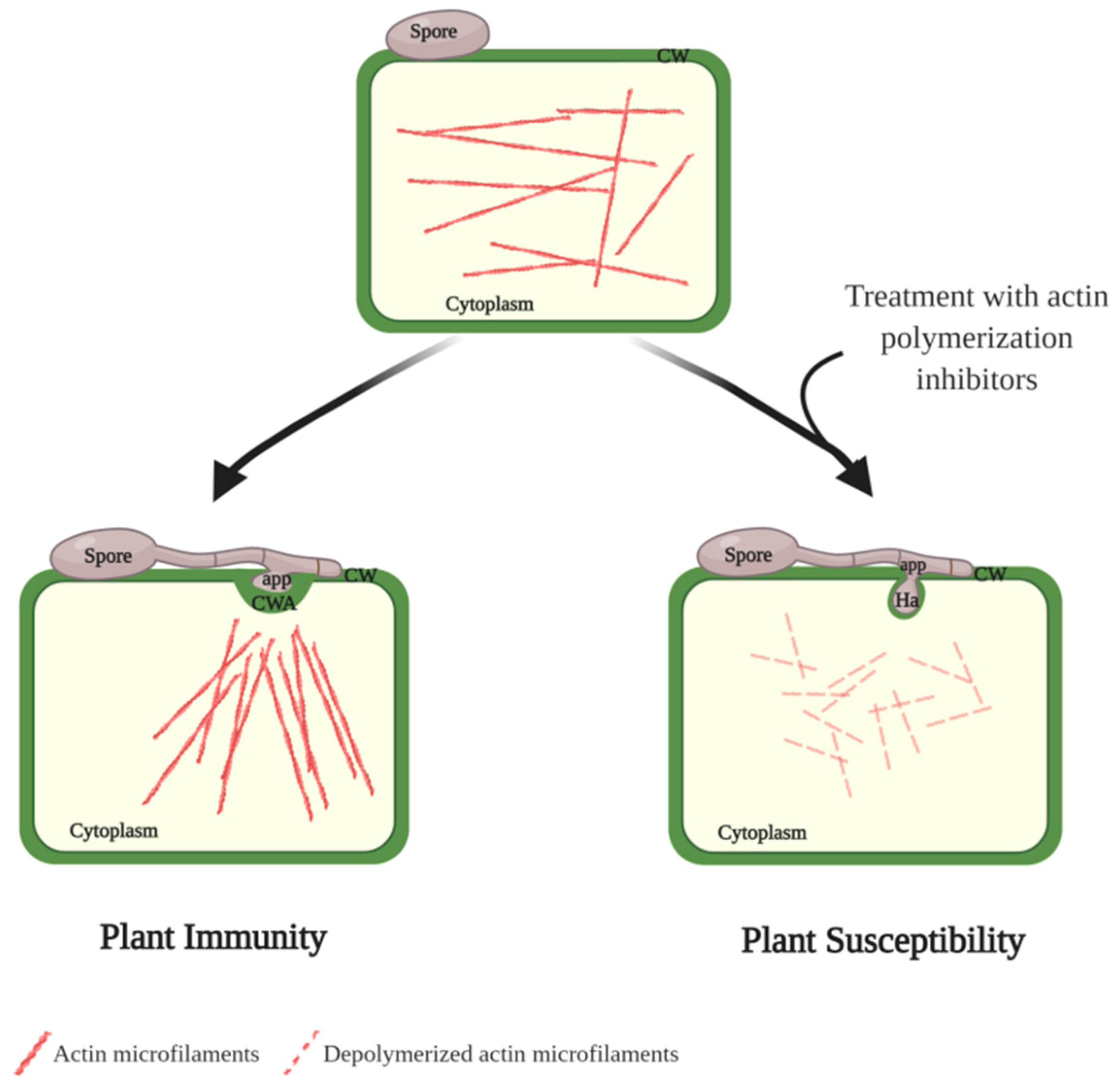 Plants 09 01460 g001 Plants 09 01460 g001