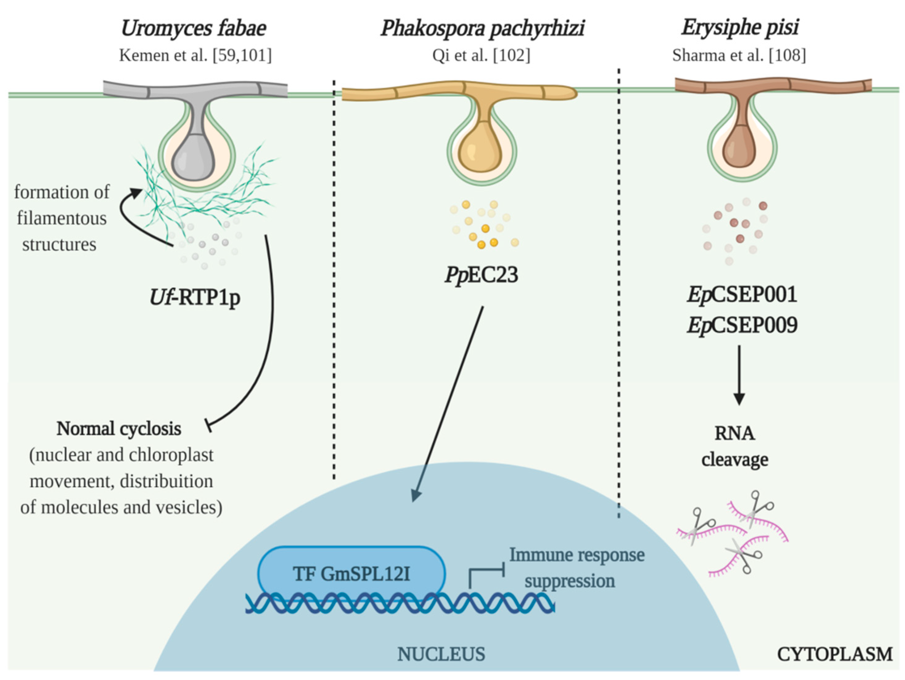 Plants 09 01460 g002 Plants 09 01460 g002