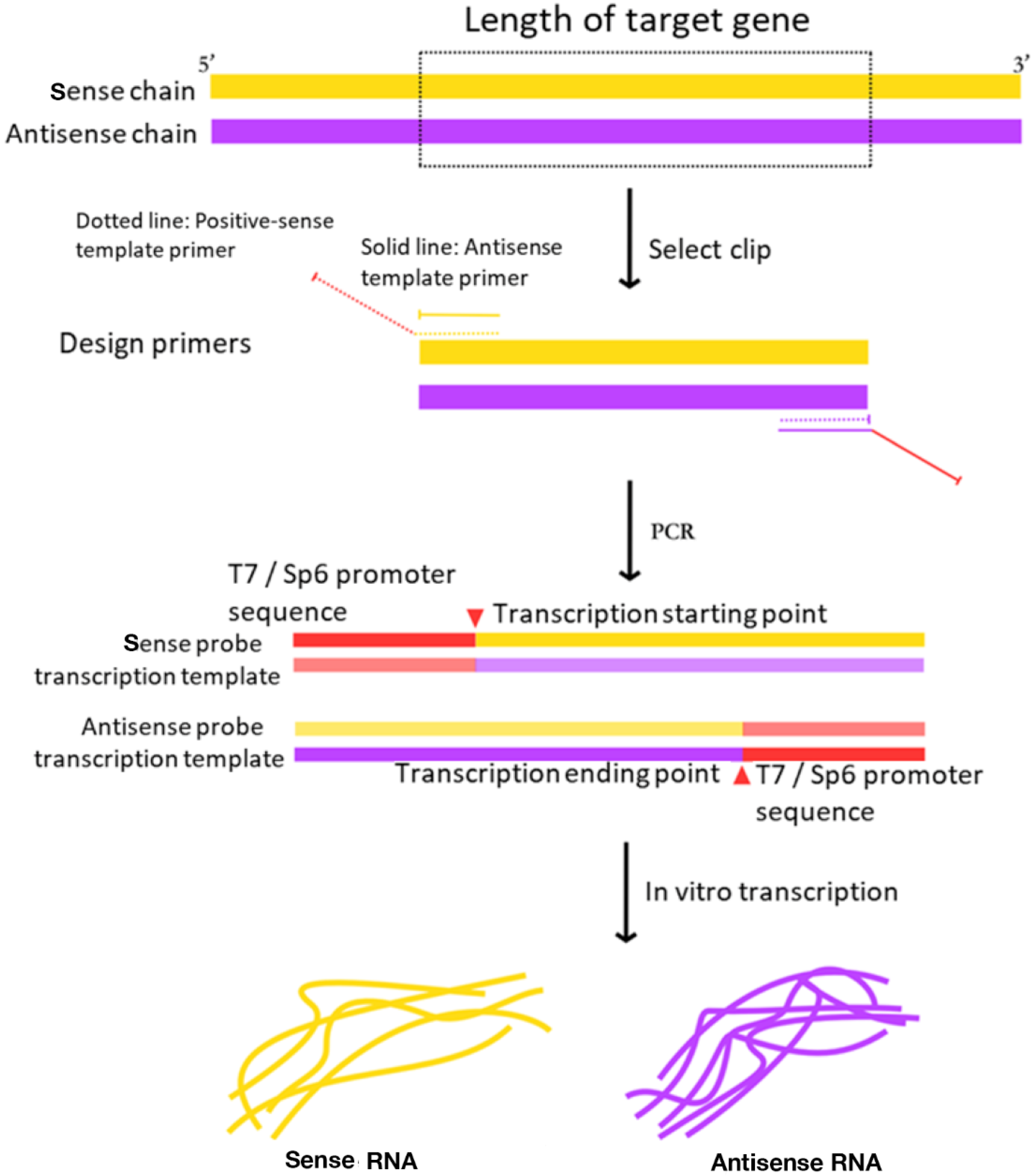 Plants 09 01461 g002