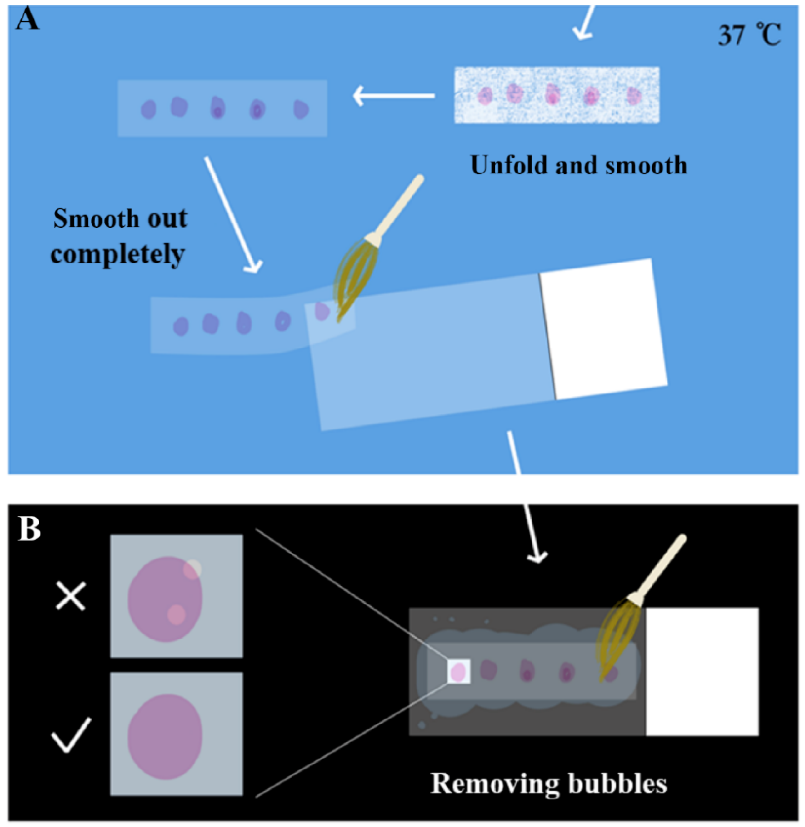 Plants 09 01461 g004