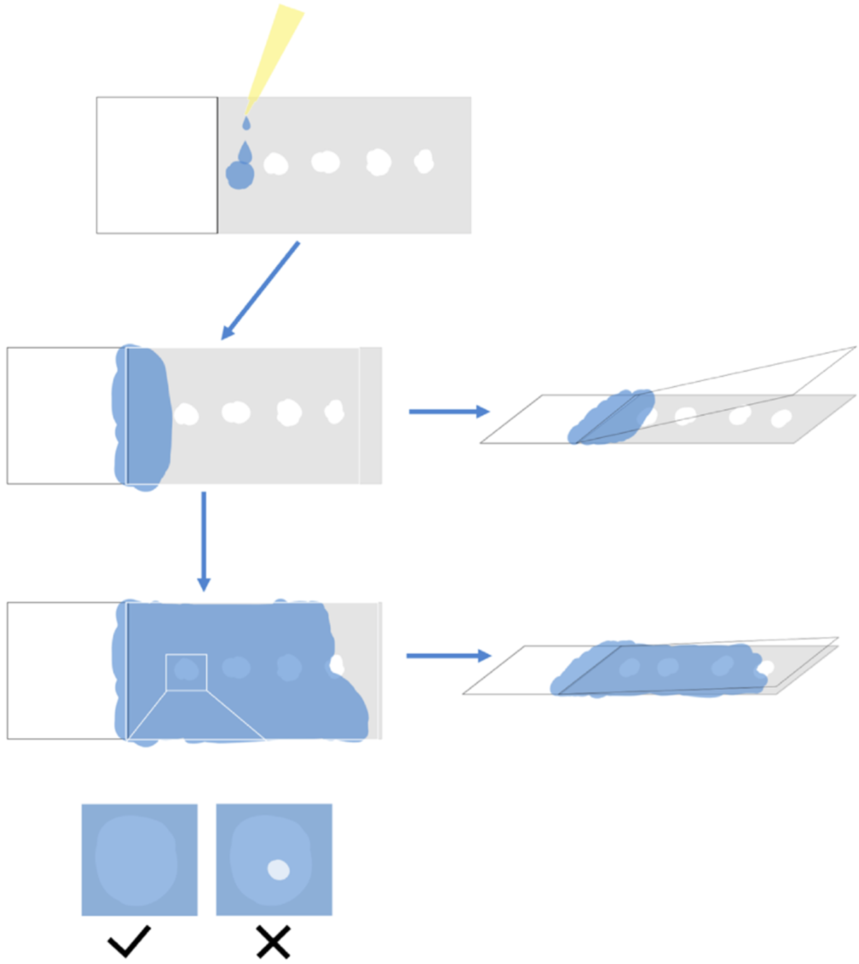 Plants 09 01461 g006