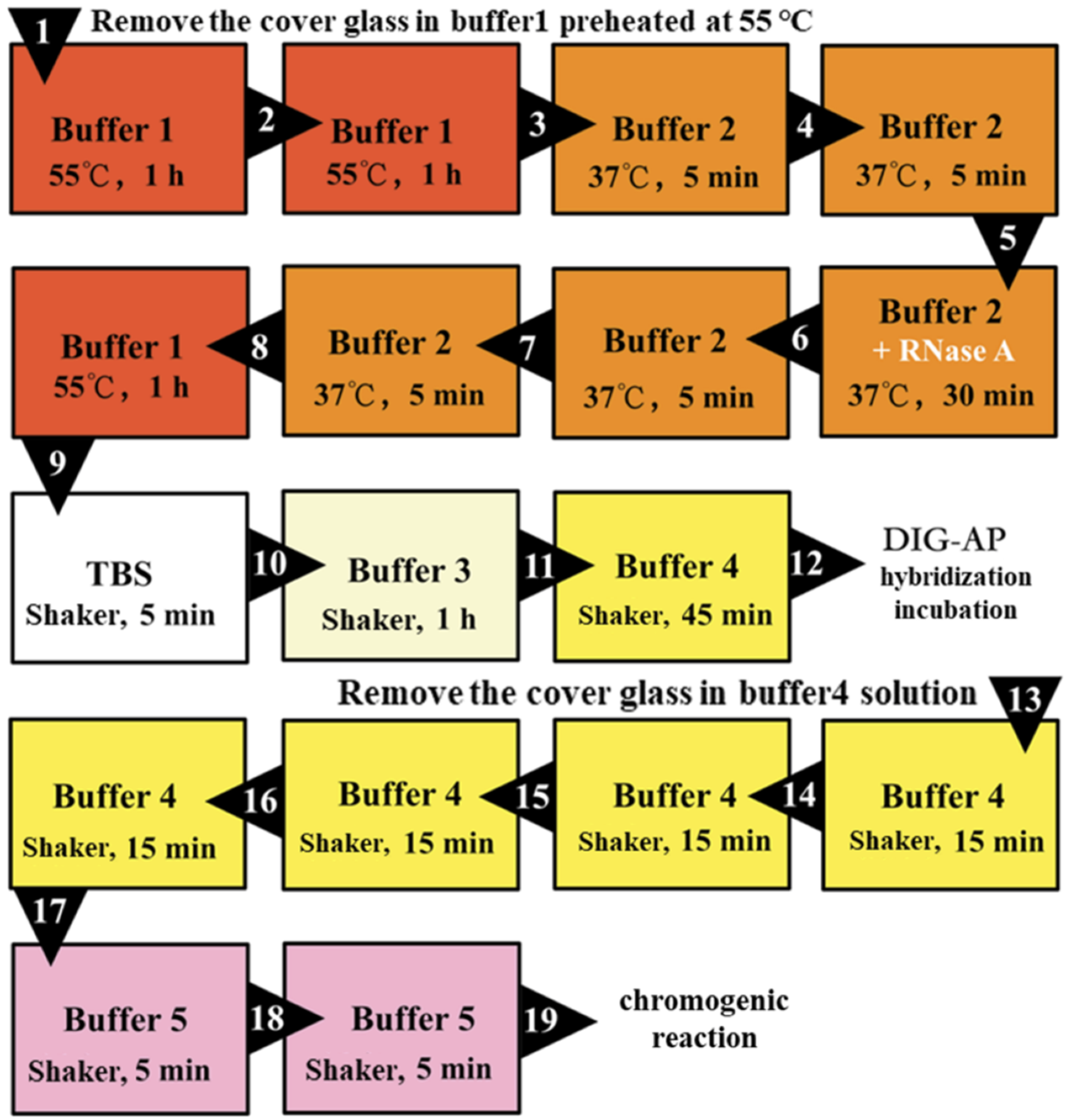 Plants 09 01461 g007