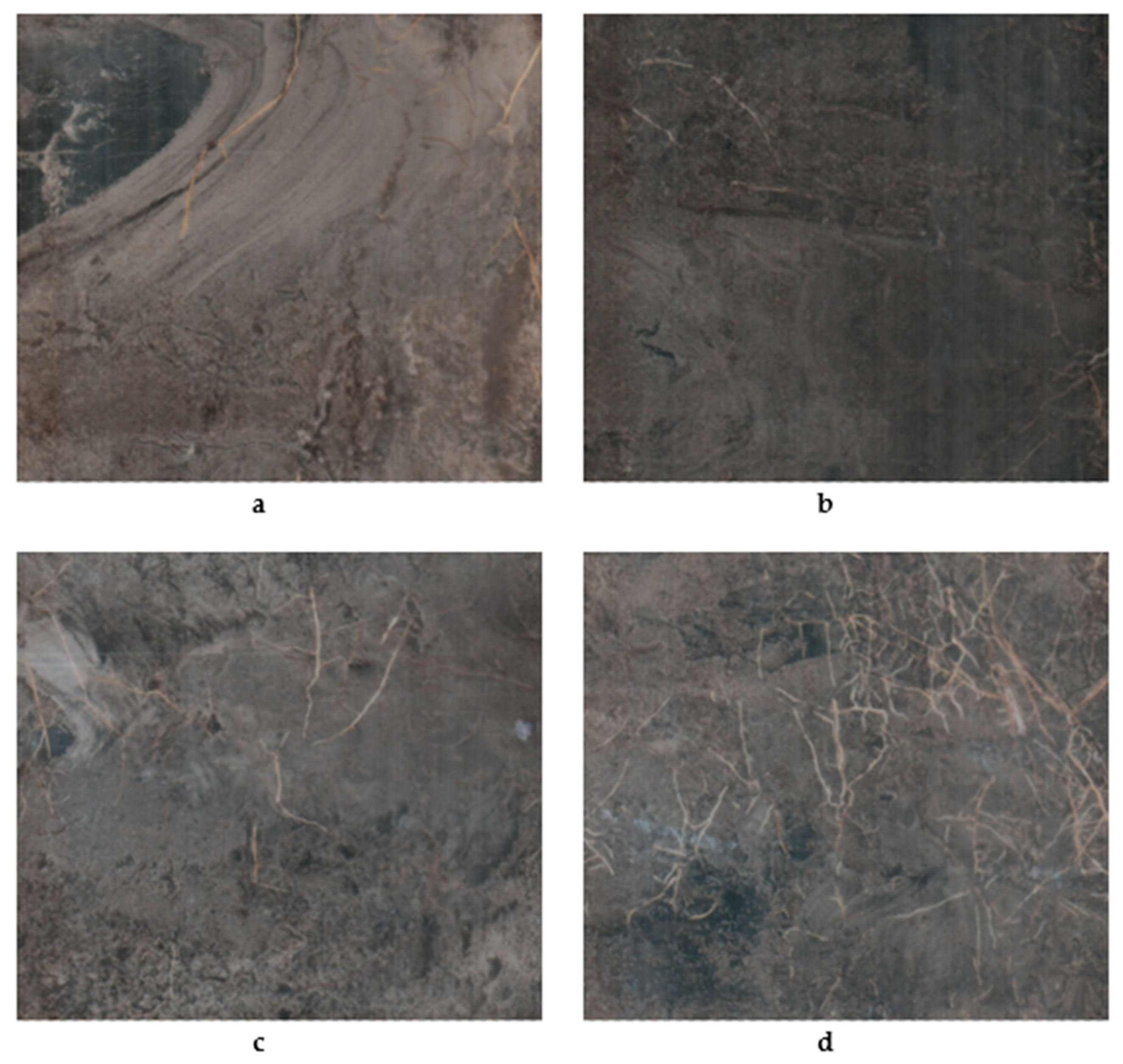 Plants 09 01462 g006