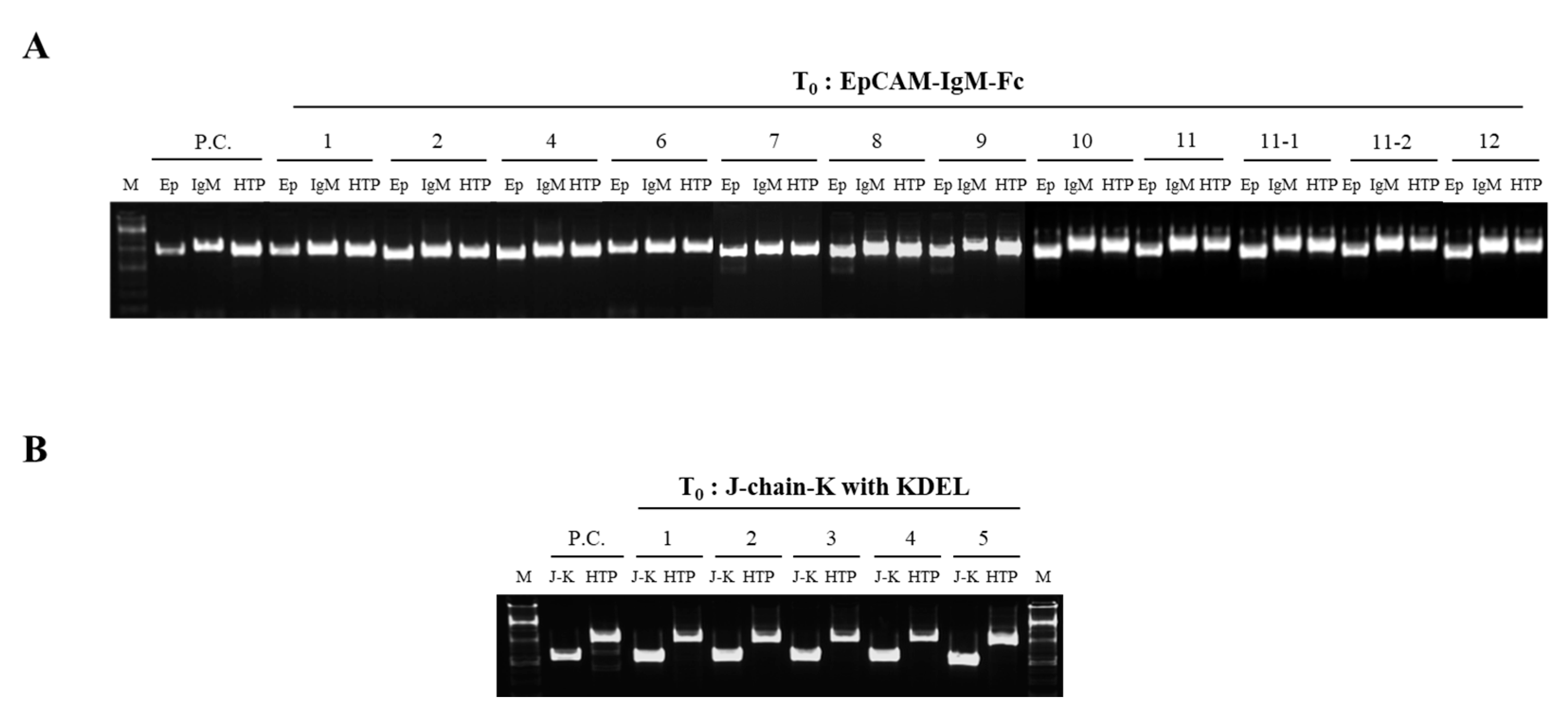 Plants 09 01466 g003