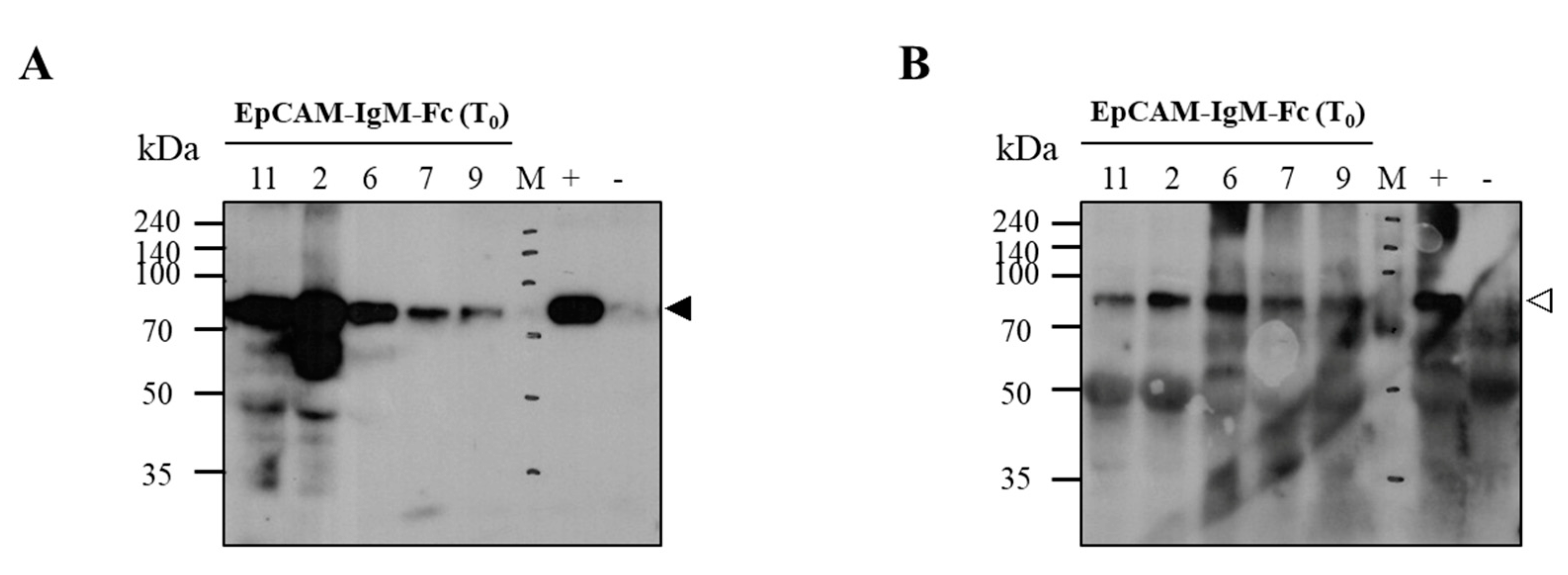 Plants 09 01466 g004