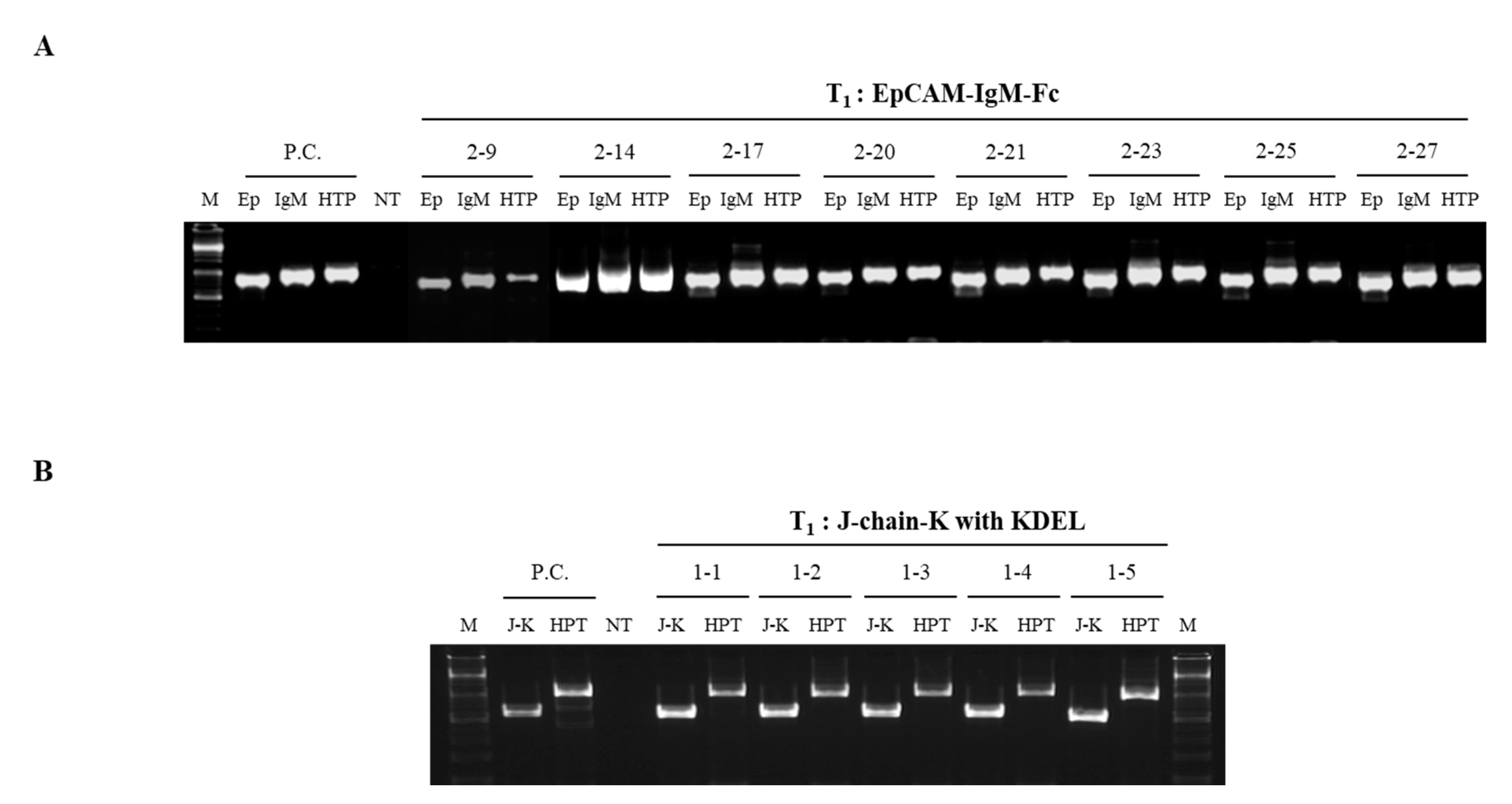 Plants 09 01466 g005