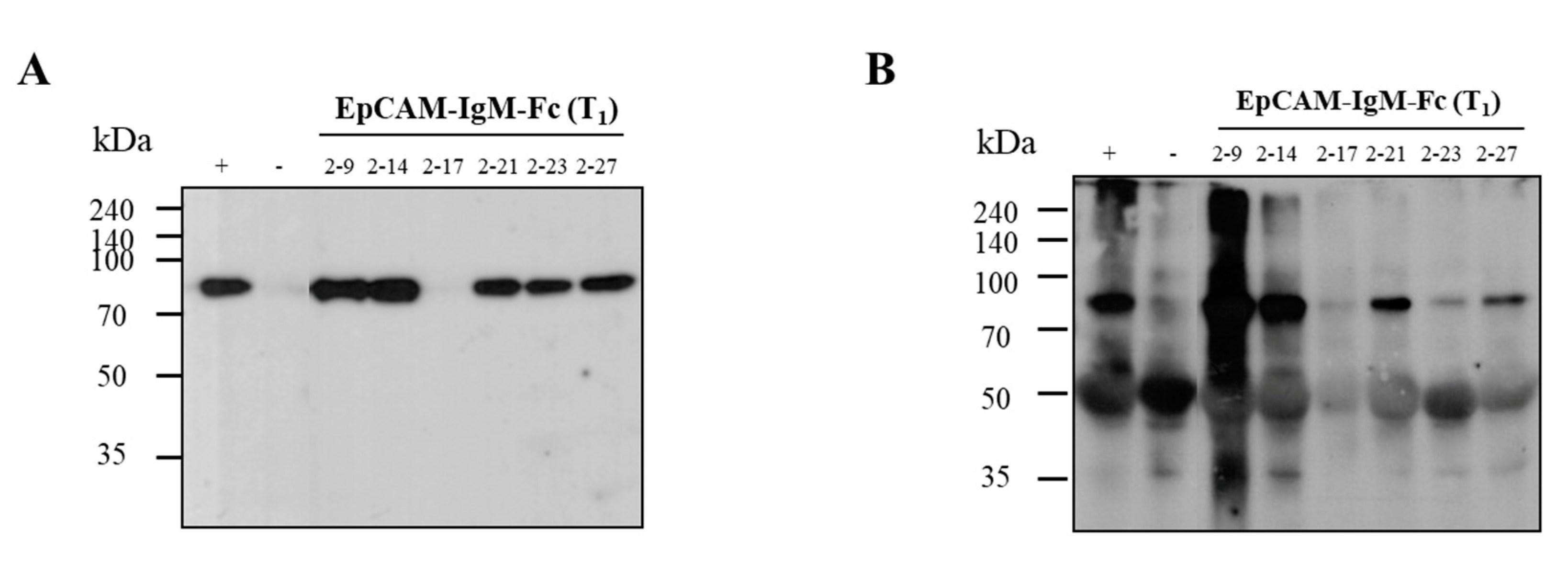 Plants 09 01466 g006