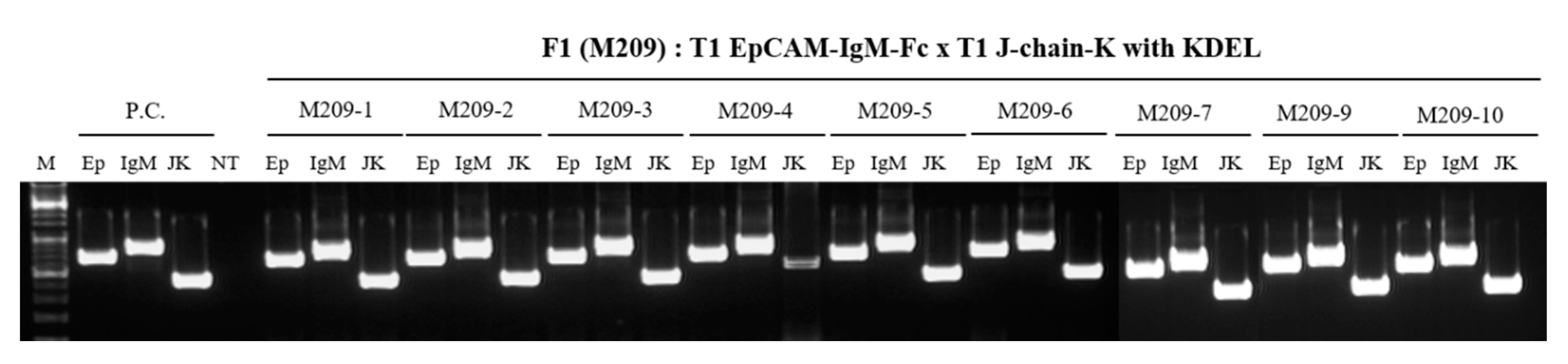 Plants 09 01466 g007
