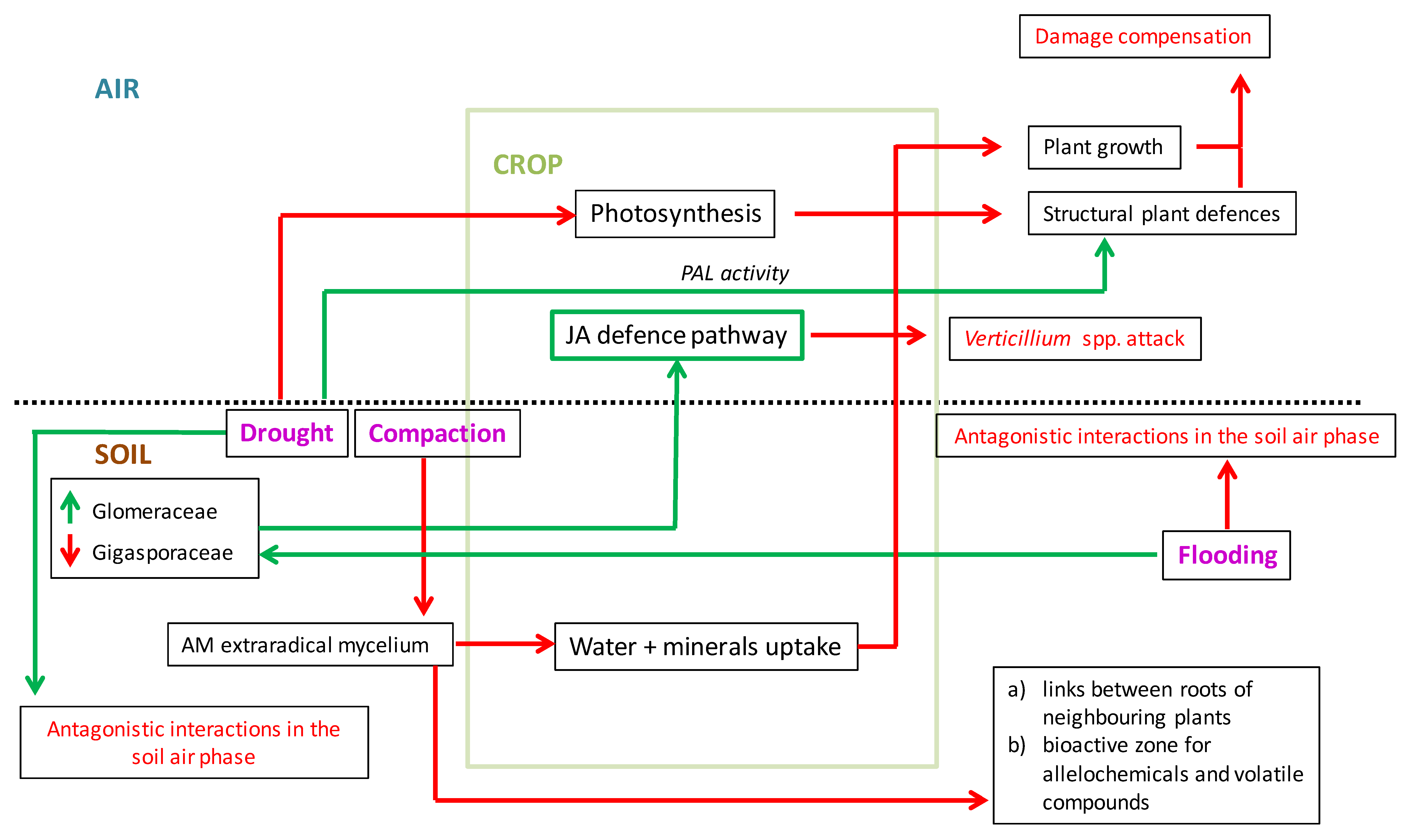 Plants 09 01468 sch002