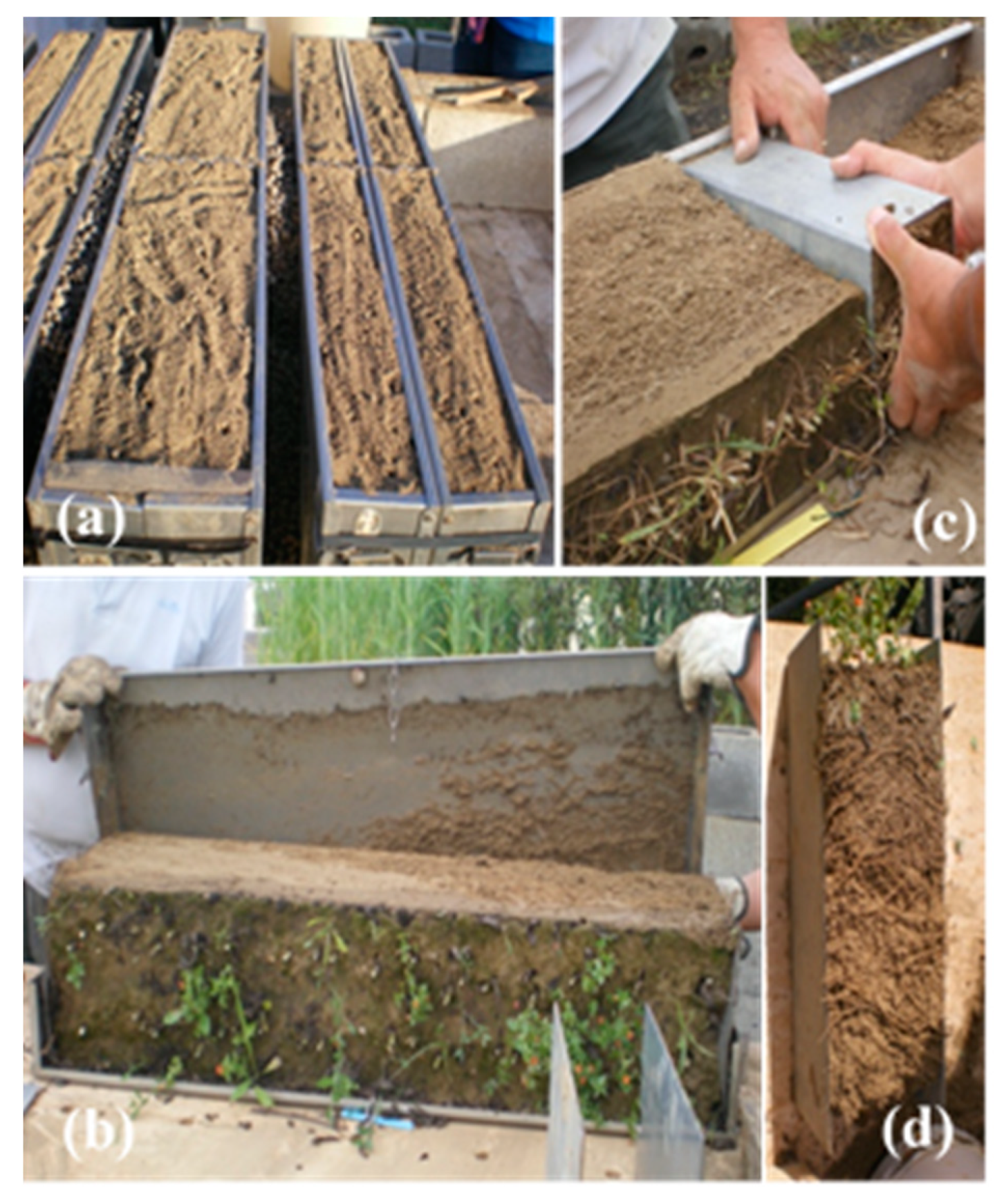 Plants 09 01474 g009