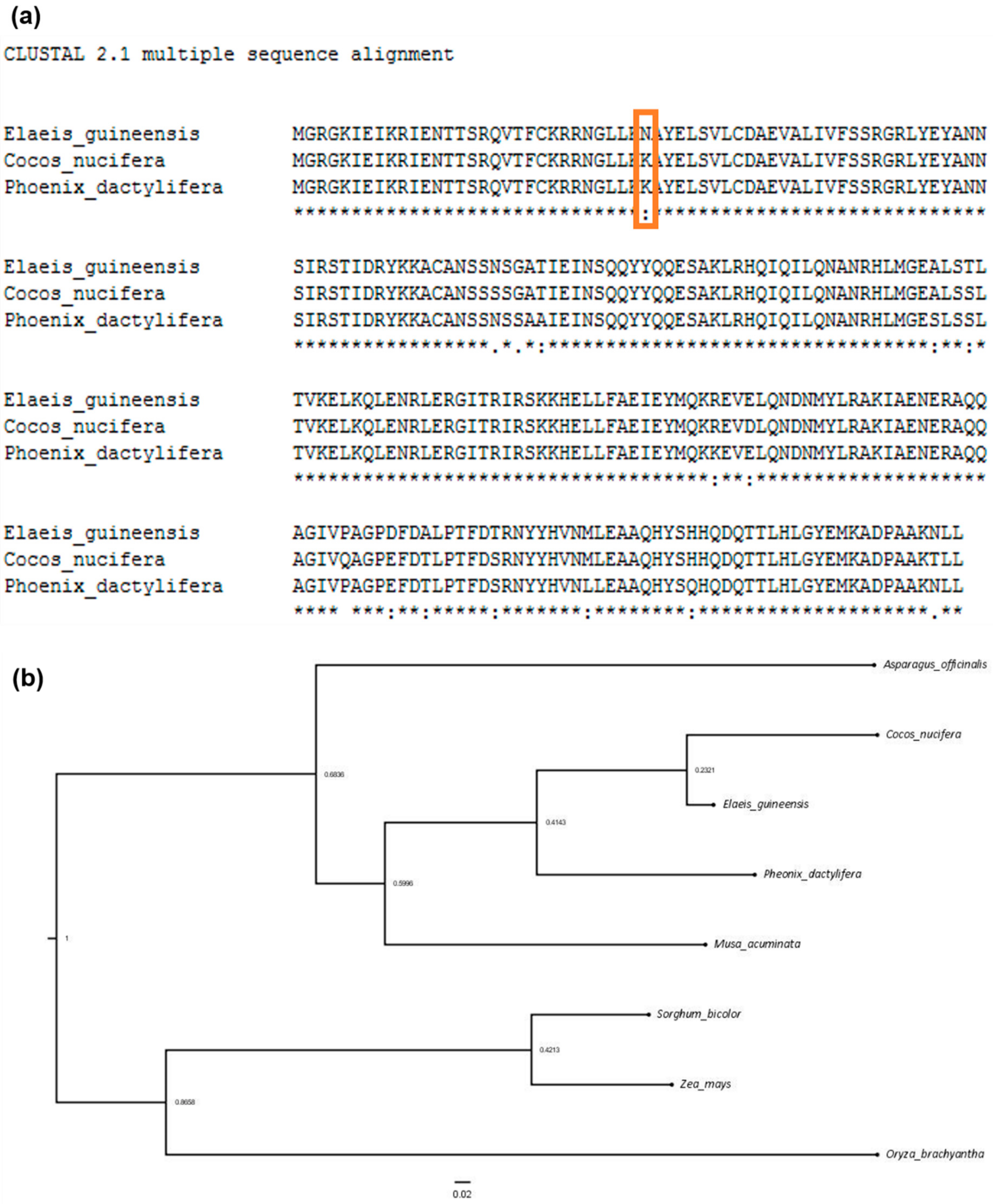 Plants 09 01476 g003