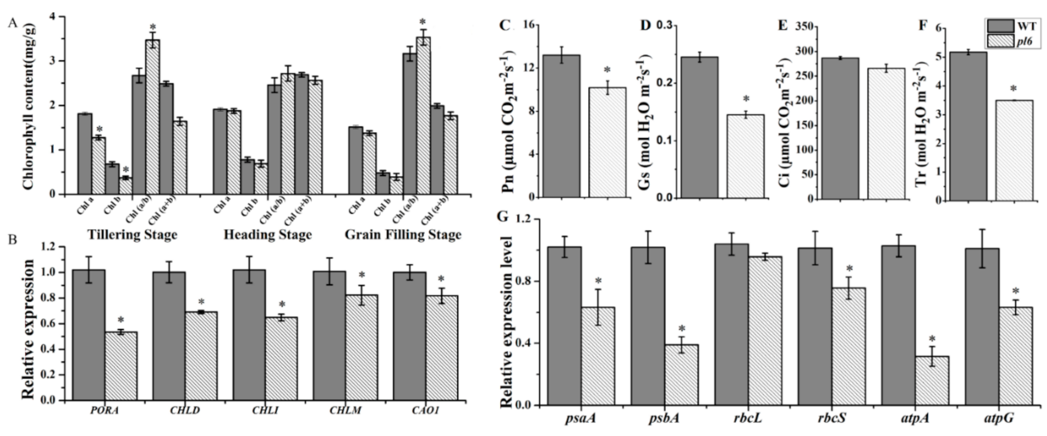 Plants 09 01477 g005 Plants 09 01477 g005