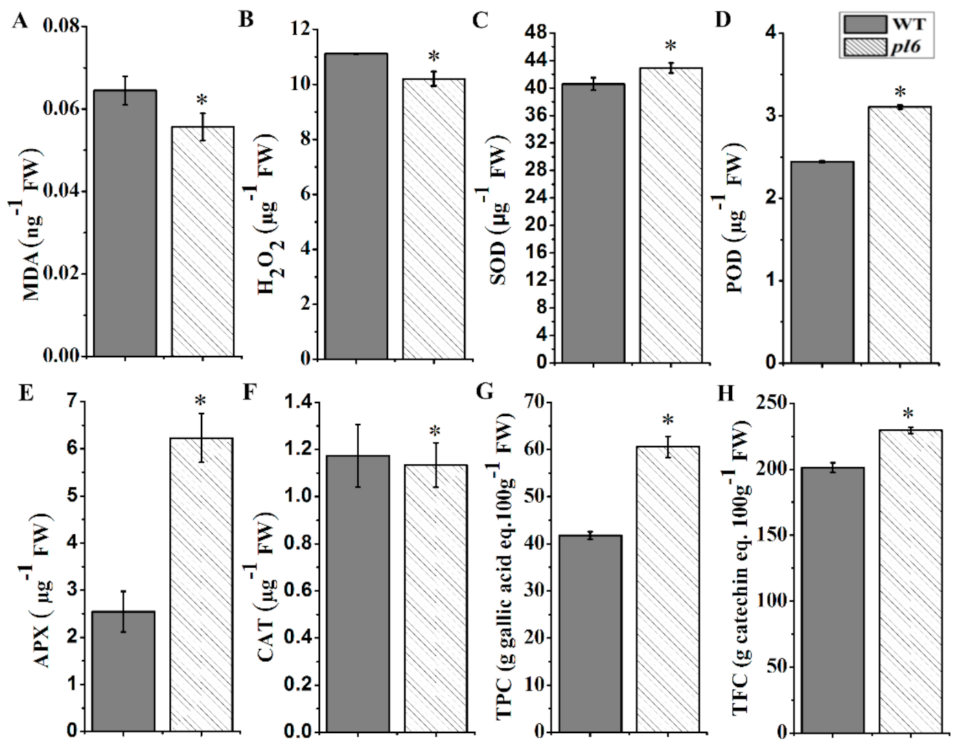Plants 09 01477 g007 Plants 09 01477 g007