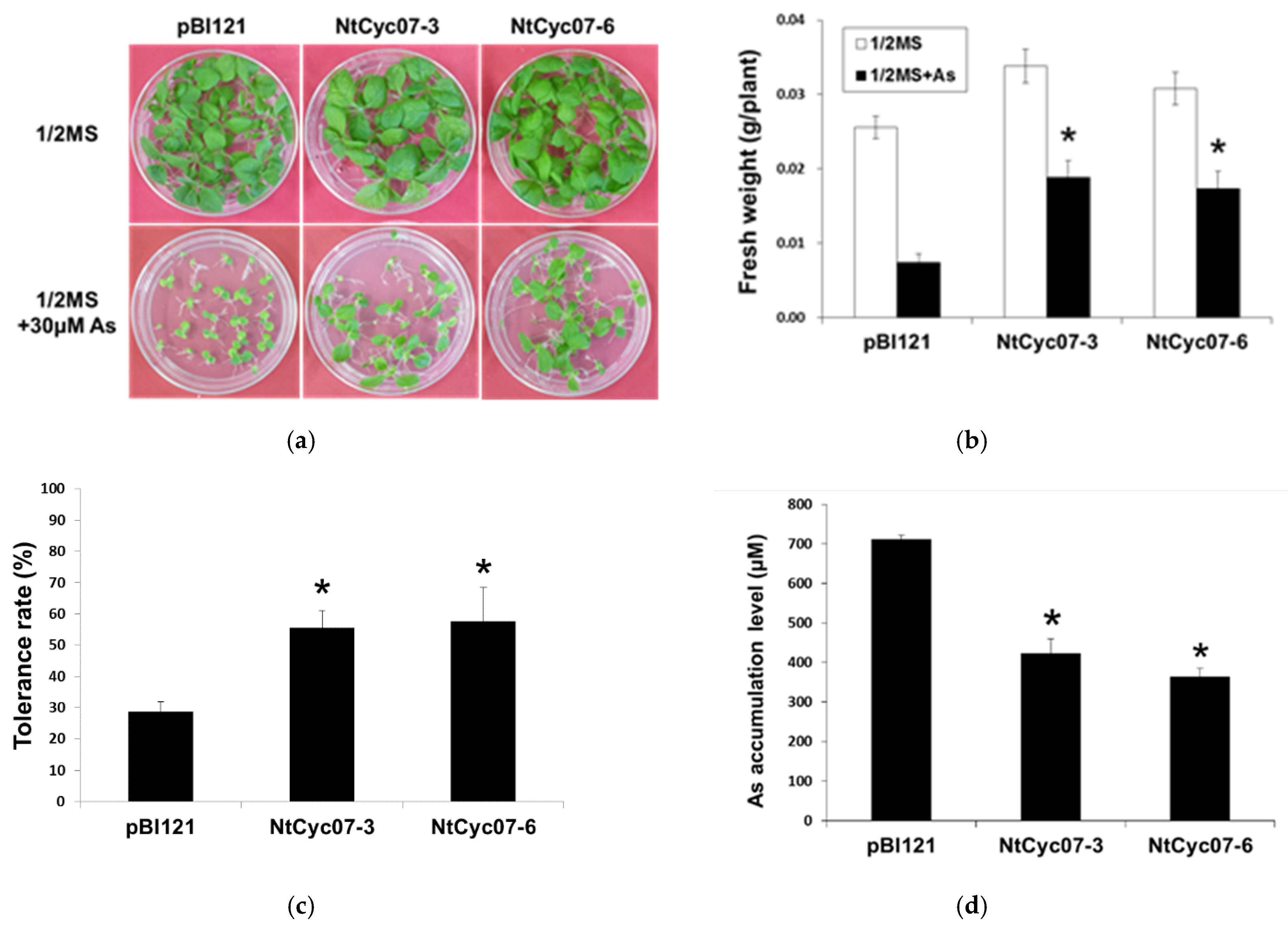 Plants 09 01480 g001 Plants 09 01480 g001