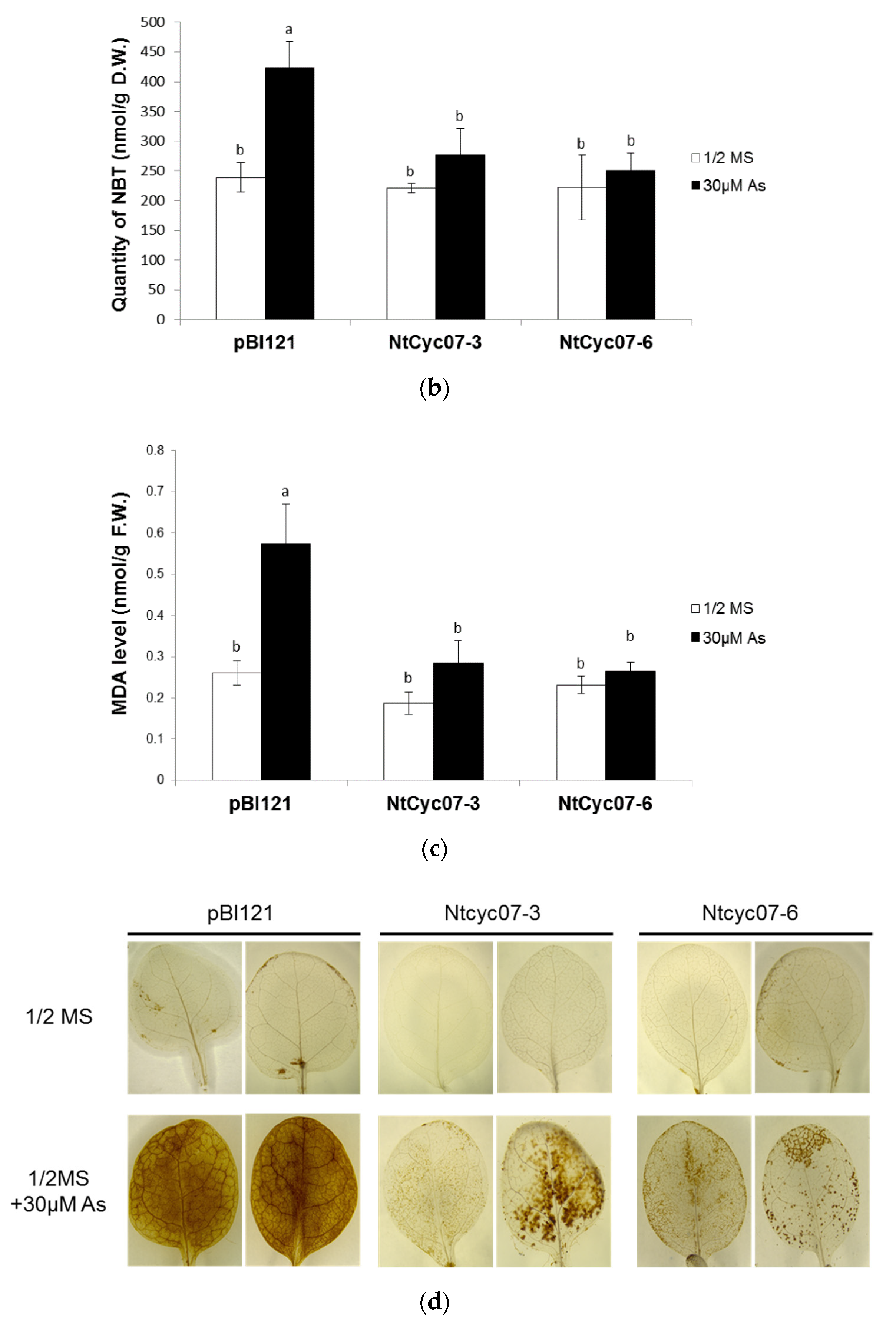 Plants 09 01480 g003b Plants 09 01480 g003b
