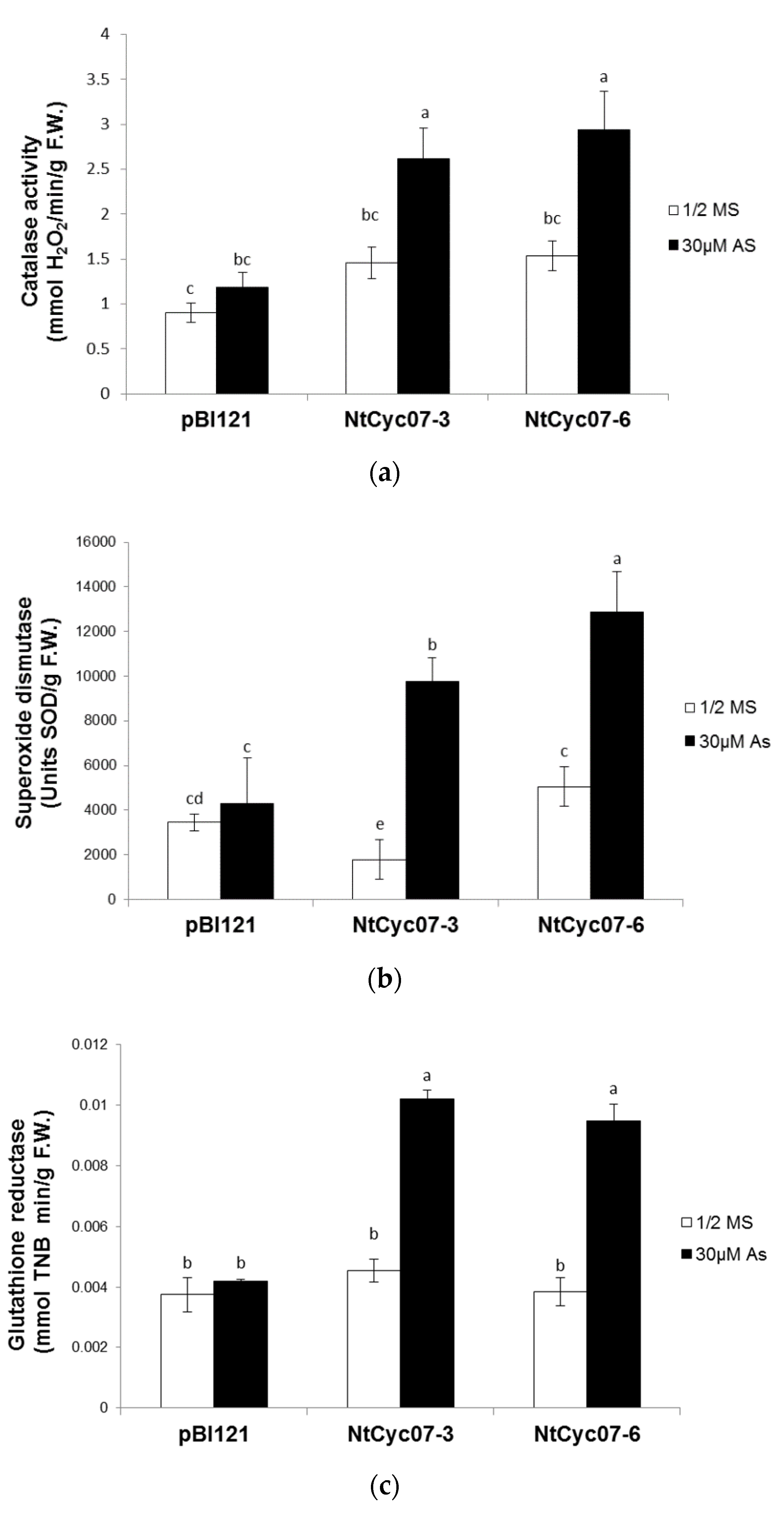 Plants 09 01480 g004 Plants 09 01480 g004
