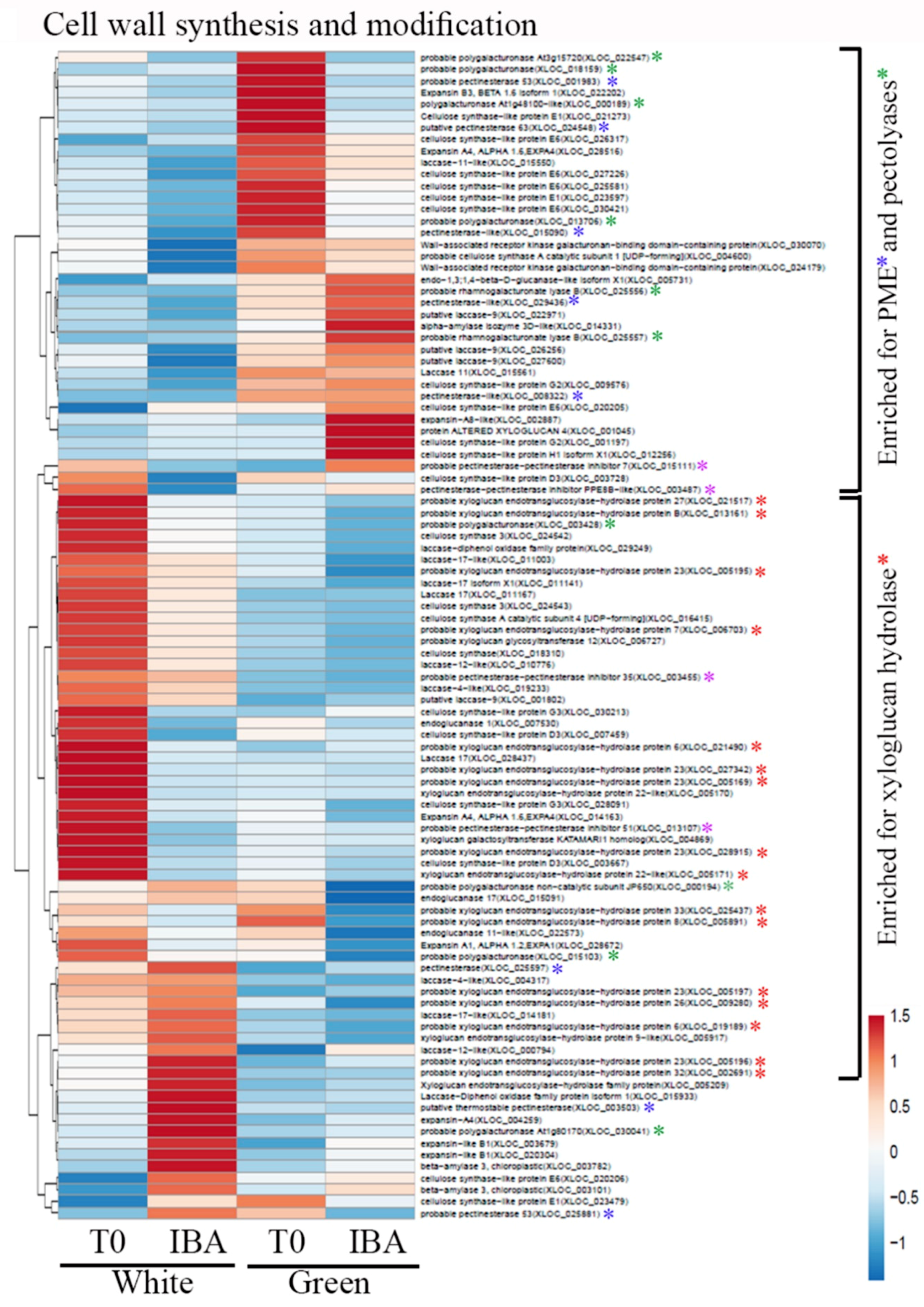 Plants 09 01481 g007