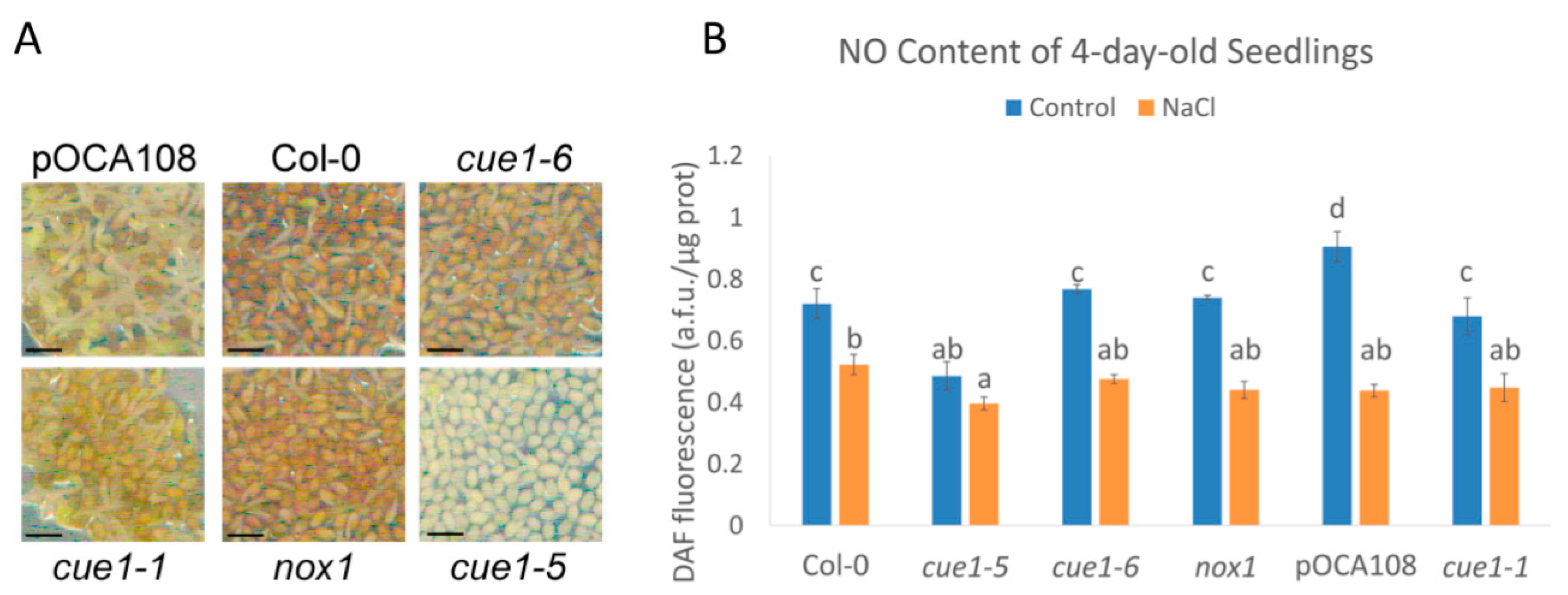 Plants 09 01484 g001