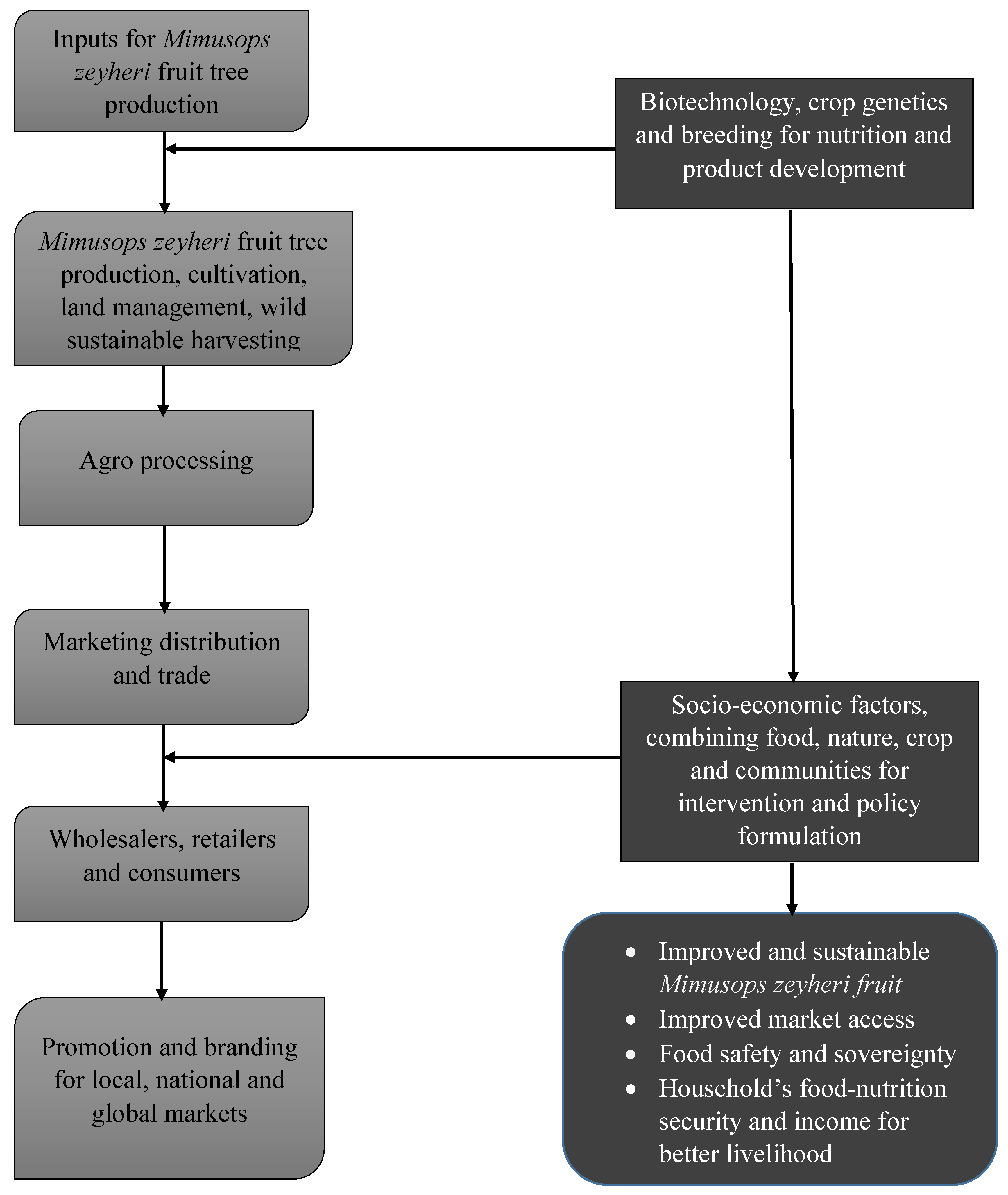 Plants 09 01486 g003 Plants 09 01486 g003