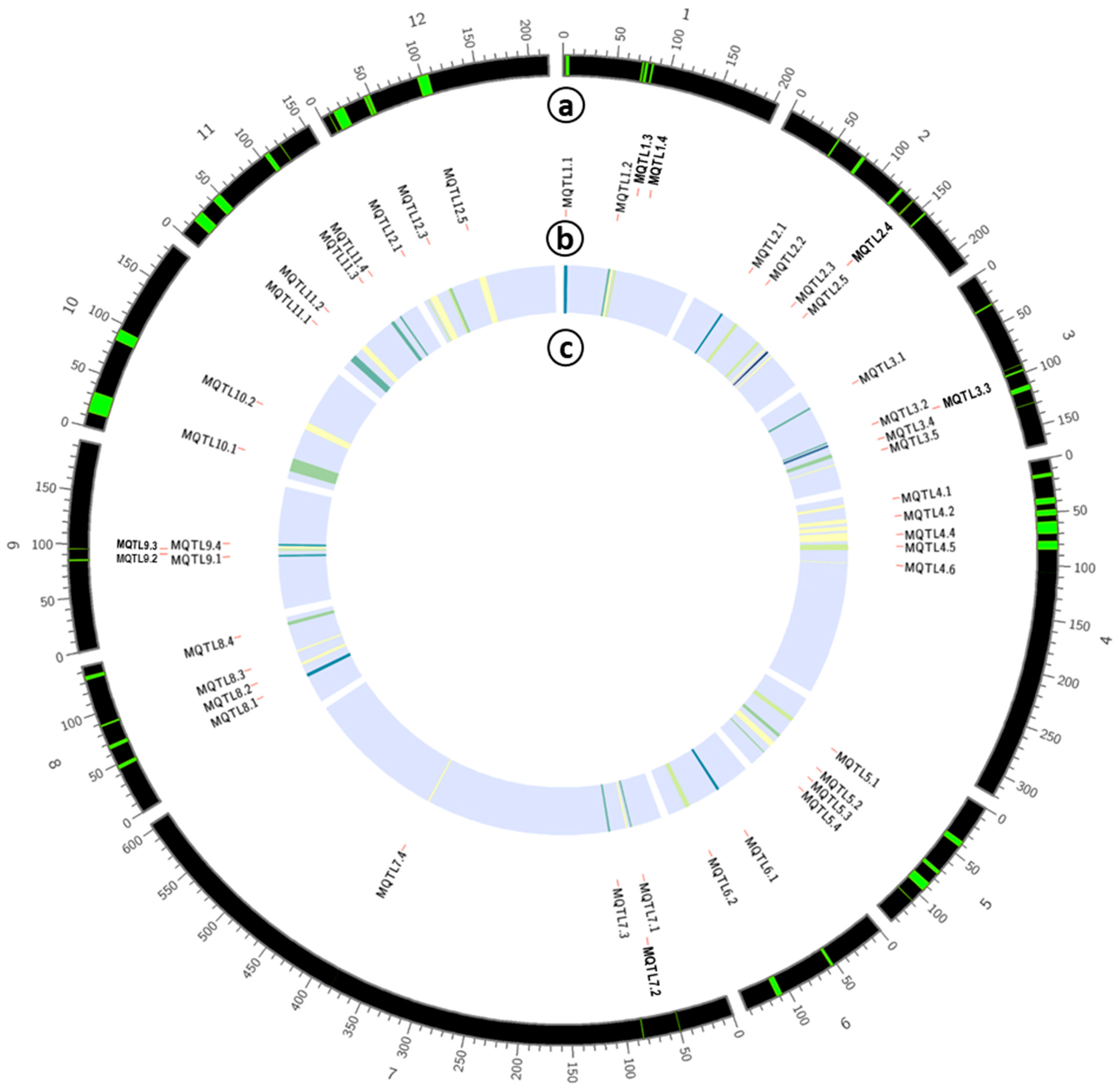 Plants 09 01491 g004 Plants 09 01491 g004