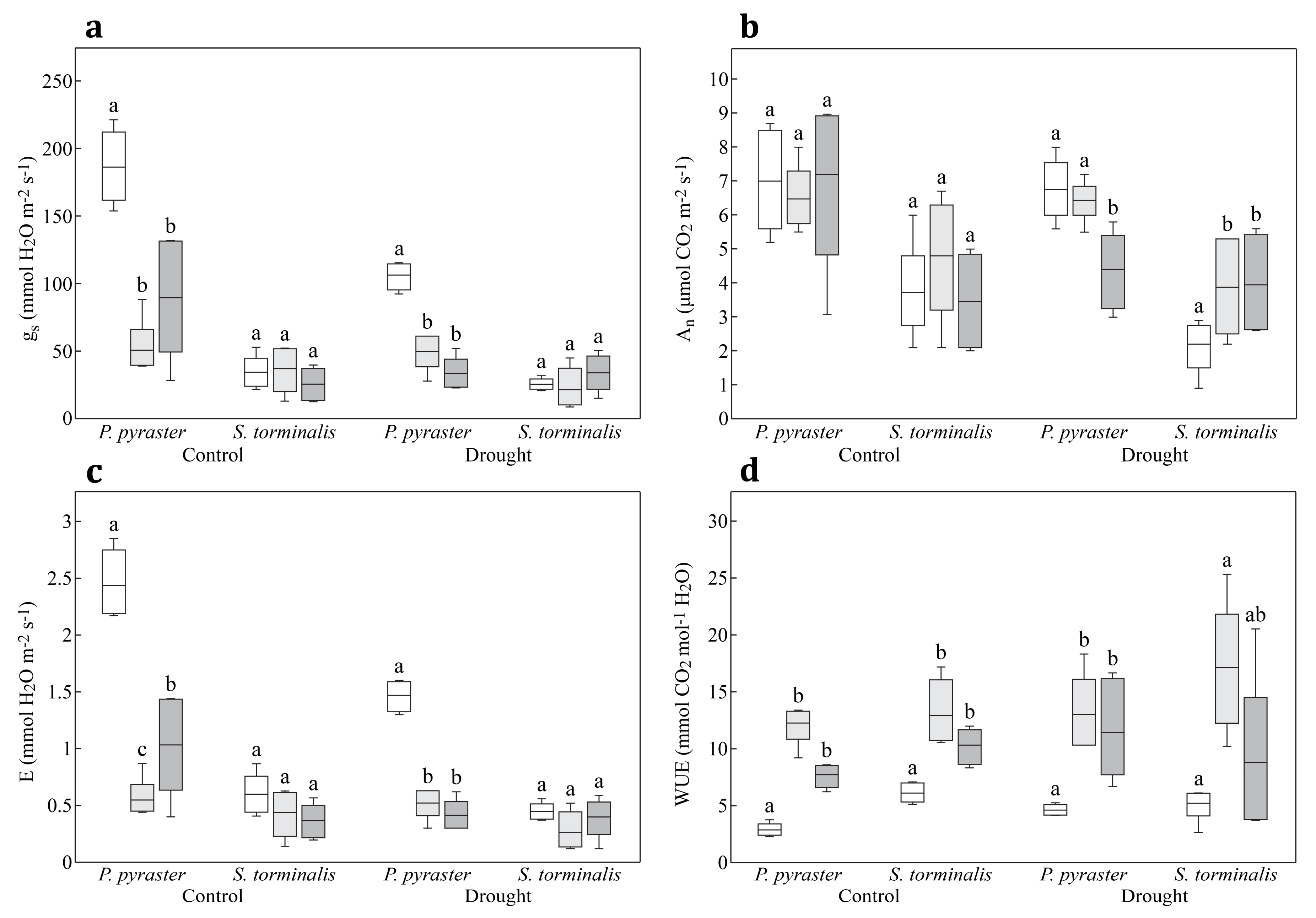 Plants 09 01496 g004