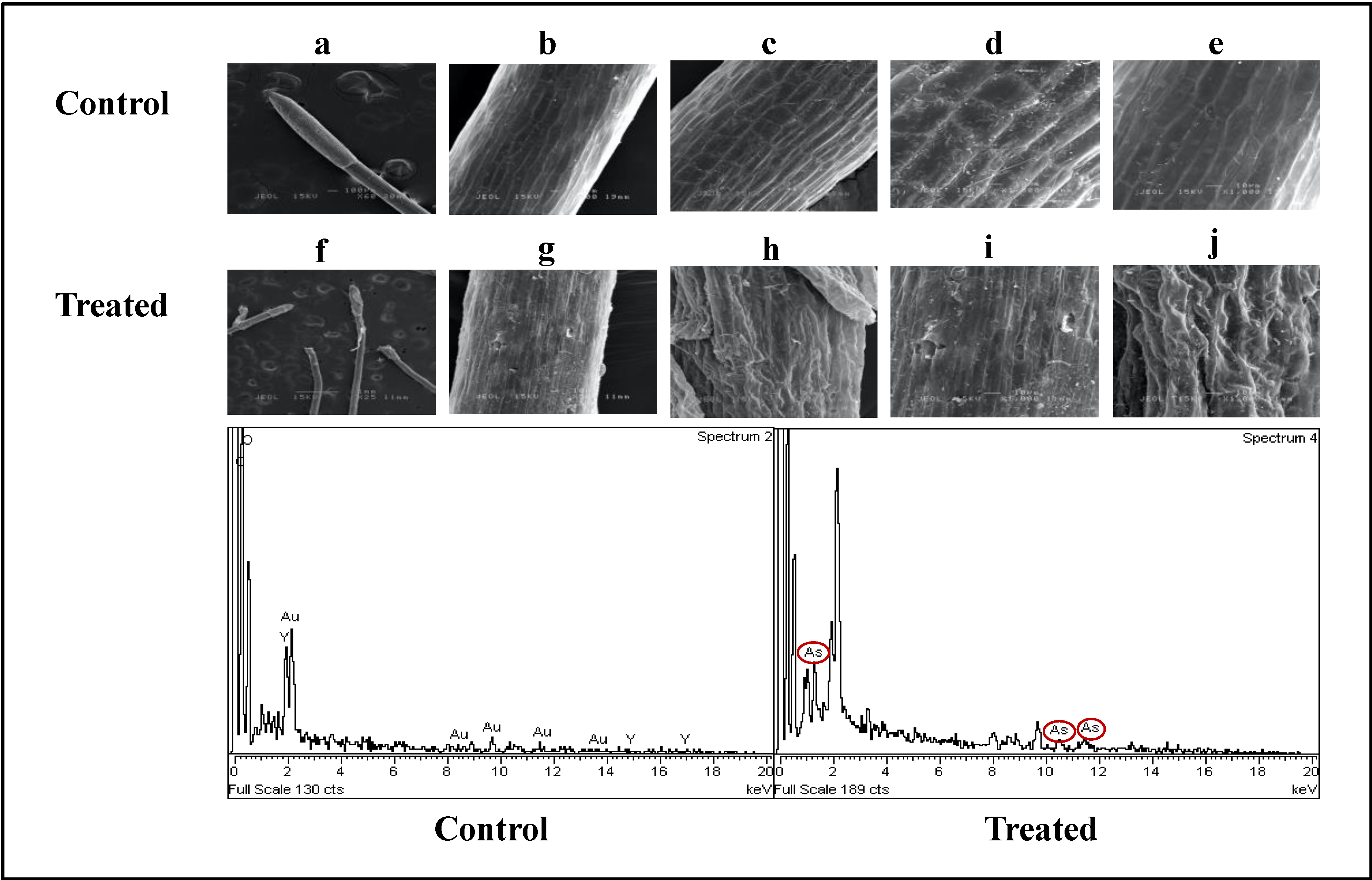 Plants 09 01500 g008