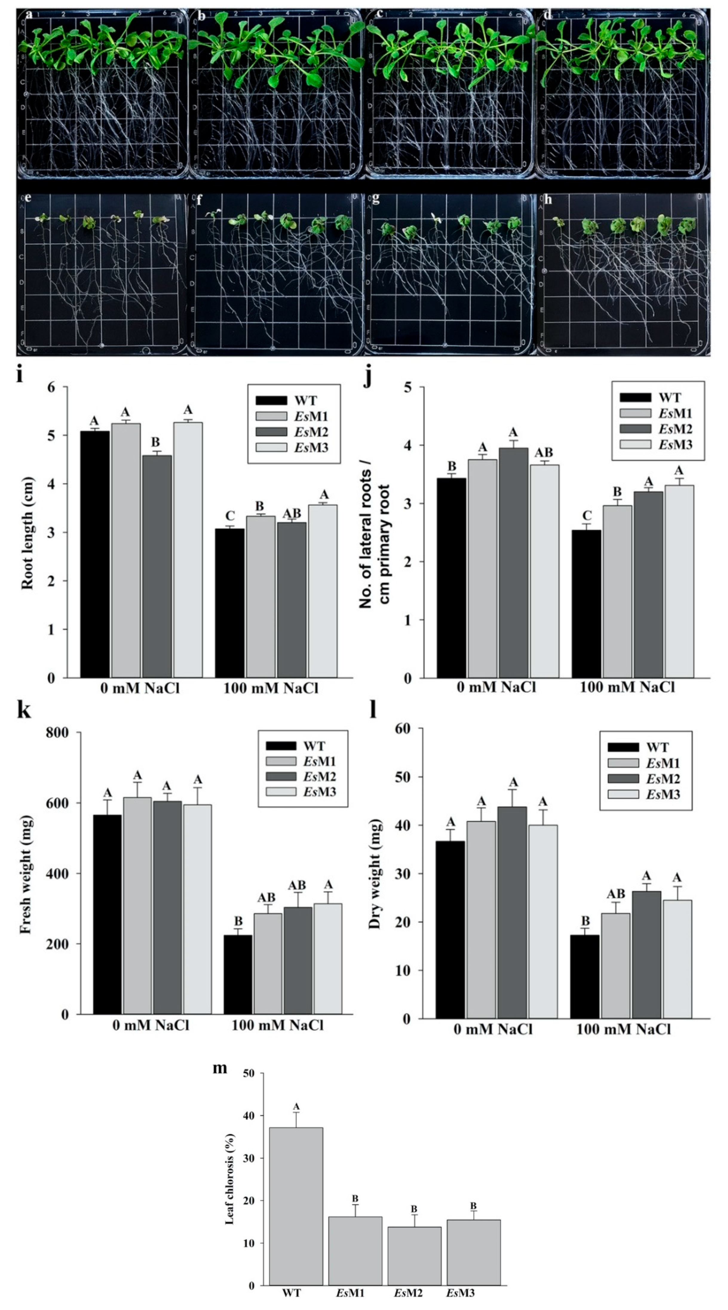 Plants 09 01508 g001 Plants 09 01508 g001