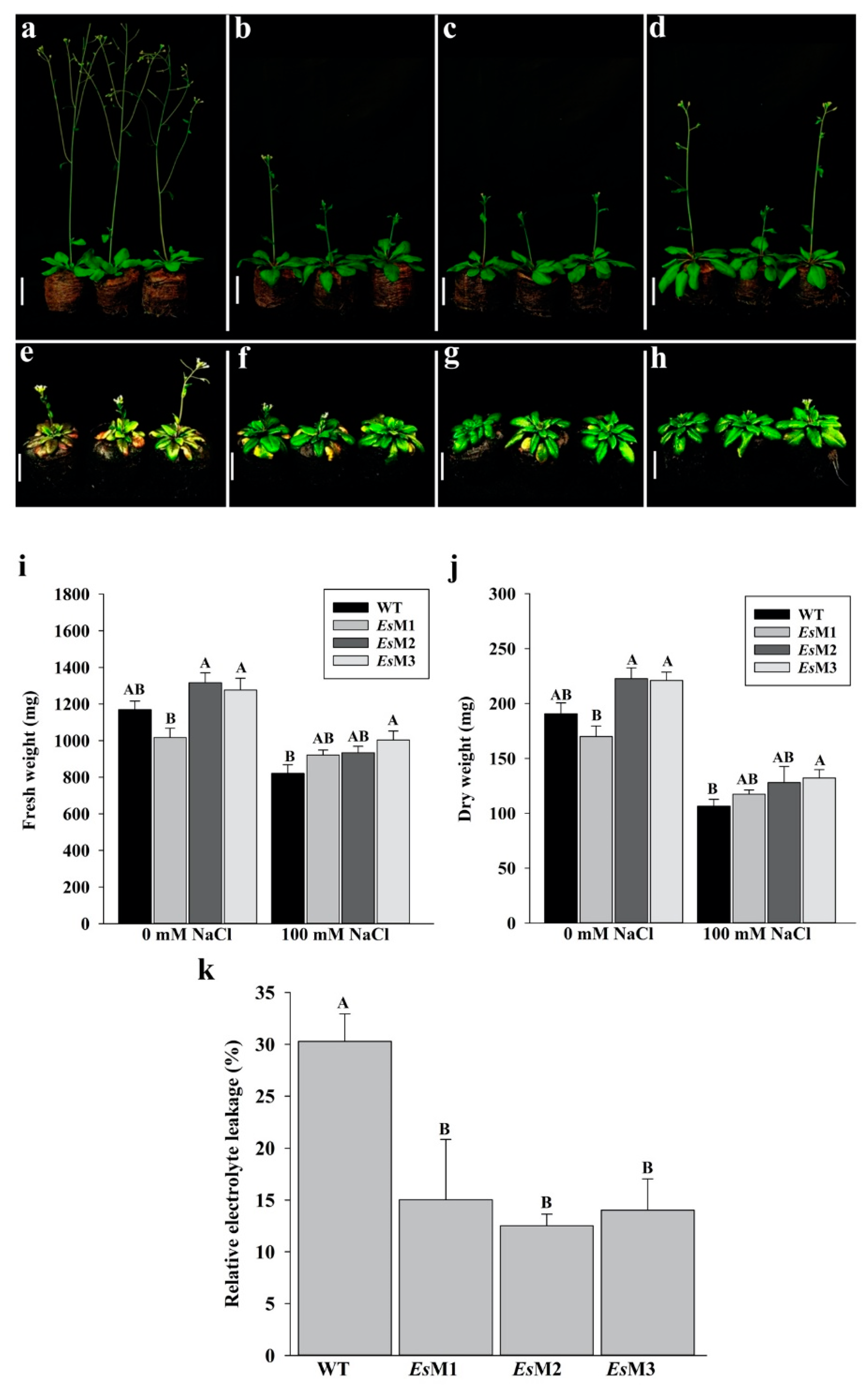 Plants 09 01508 g002 Plants 09 01508 g002