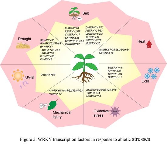 Plants | Special Issue : Responses of Plants to Environmental Stresses
