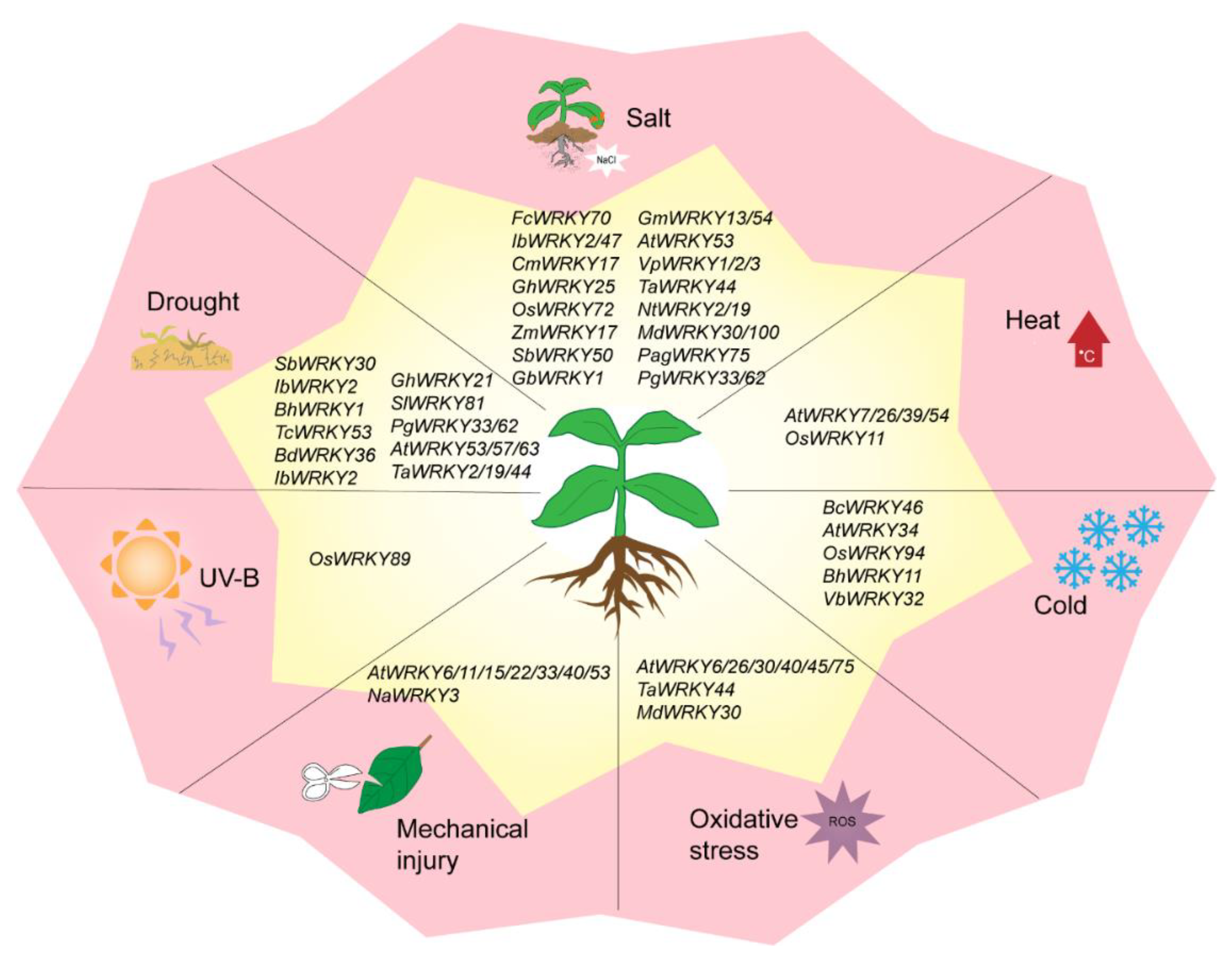 Plants 09 01515 g003