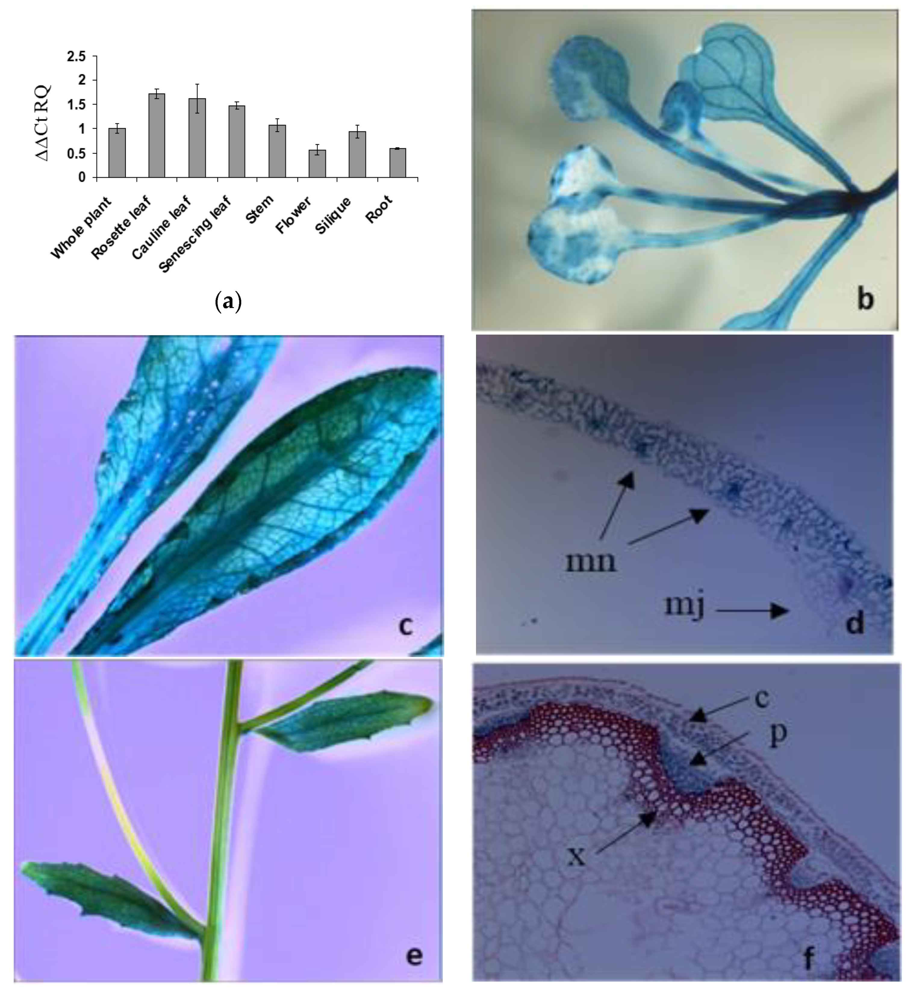 Plants 09 01519 g002a