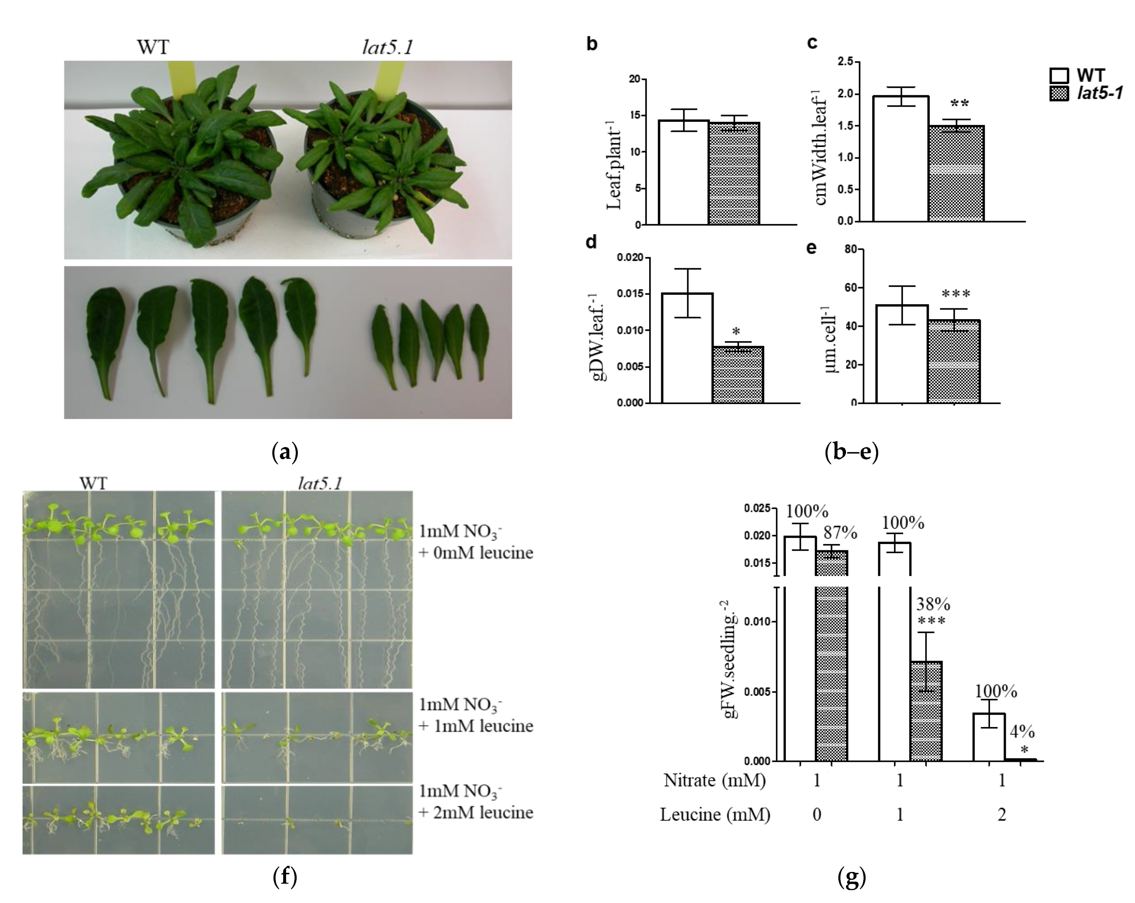 Plants 09 01519 g003