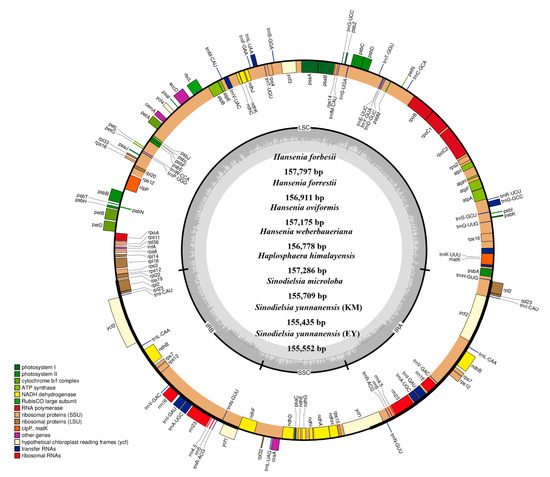Complete Plastid Genome Sequencing of Eight Species from